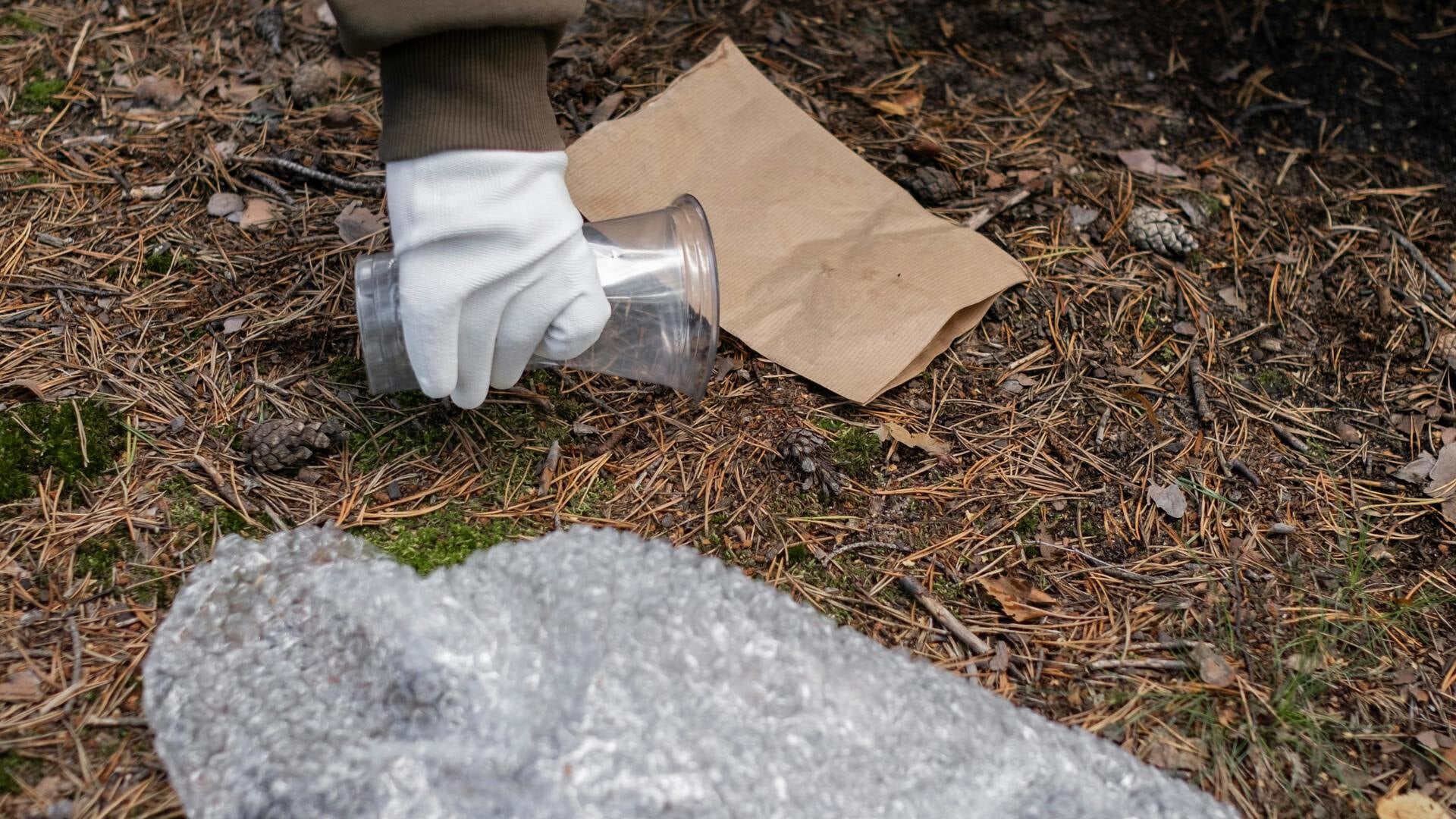 Steek de handen uit de mouwen bij de Gouden Boaiem tijdens de Natuurwerkdag