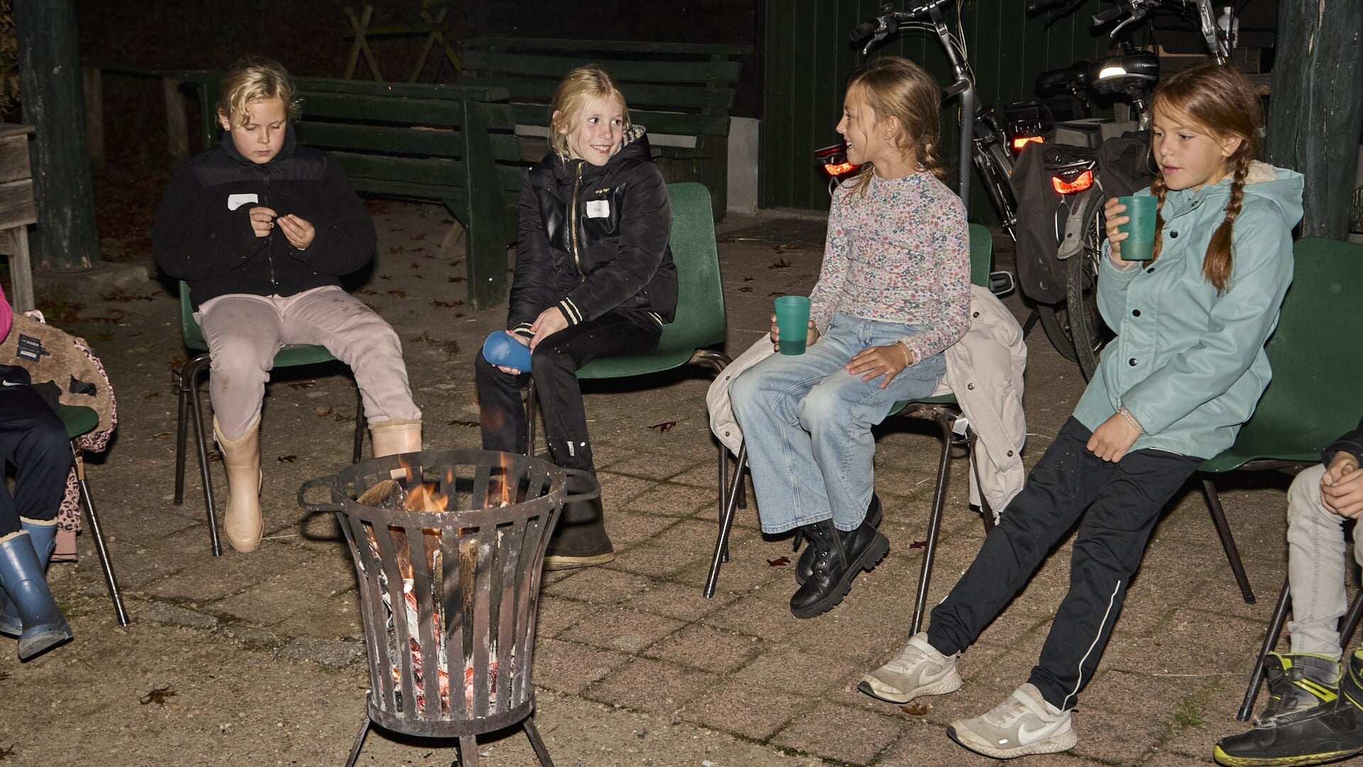 Jeugdspecht in het donker