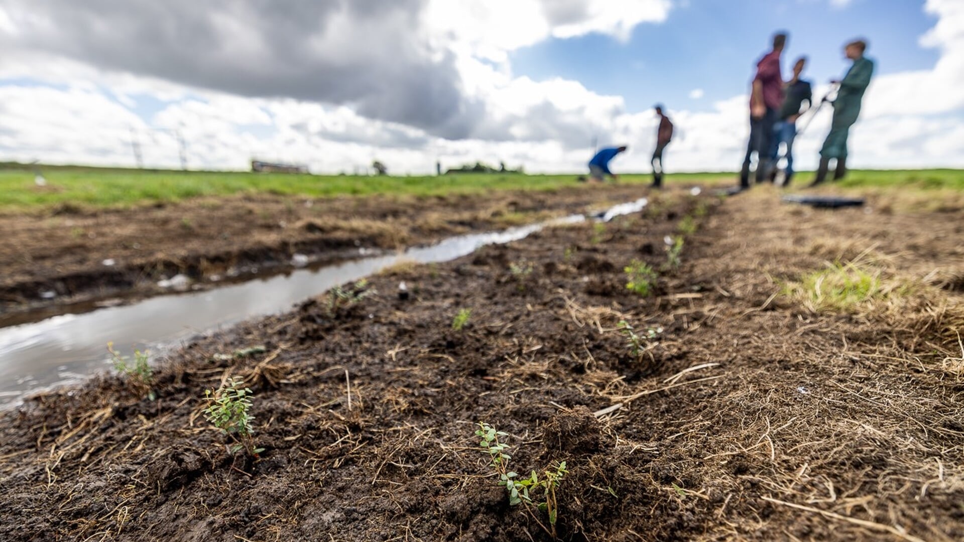 Samen sterk voor lokaal voedsel: inspiratieavond in Akkrum