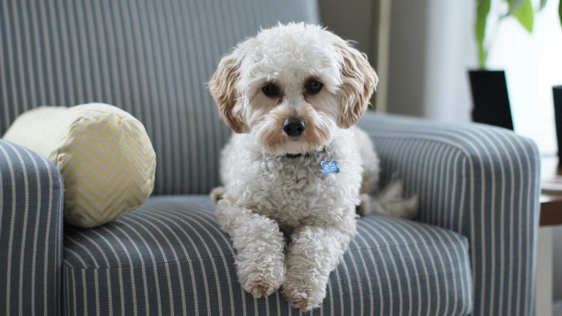 Binnengekomen bij Nomadenhof week 43