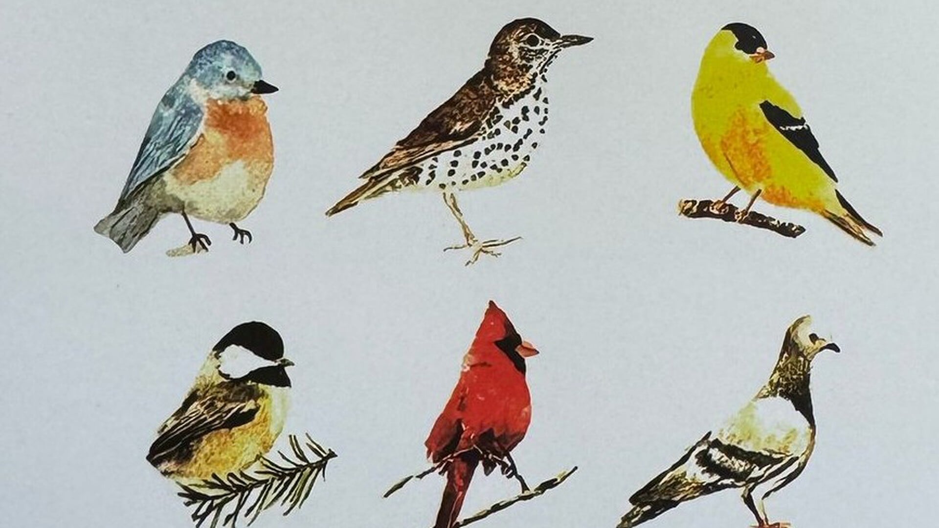 Workshop schilderen met aquarelverf door Marijte Brandsma in Museum Hindeloopen