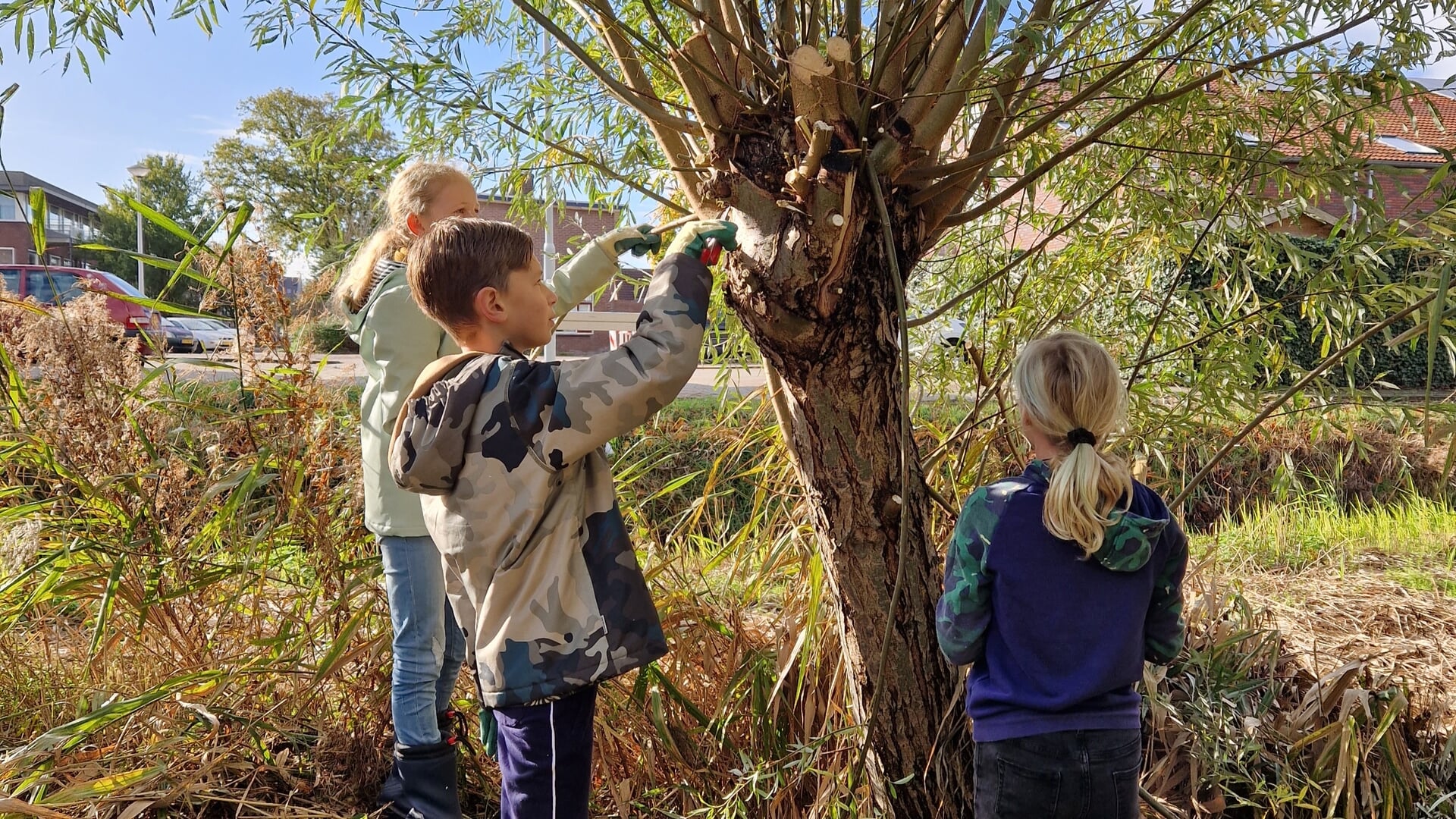 Landelijke Natuurwerkdag zaterdag in Vlindertuin Lemmer