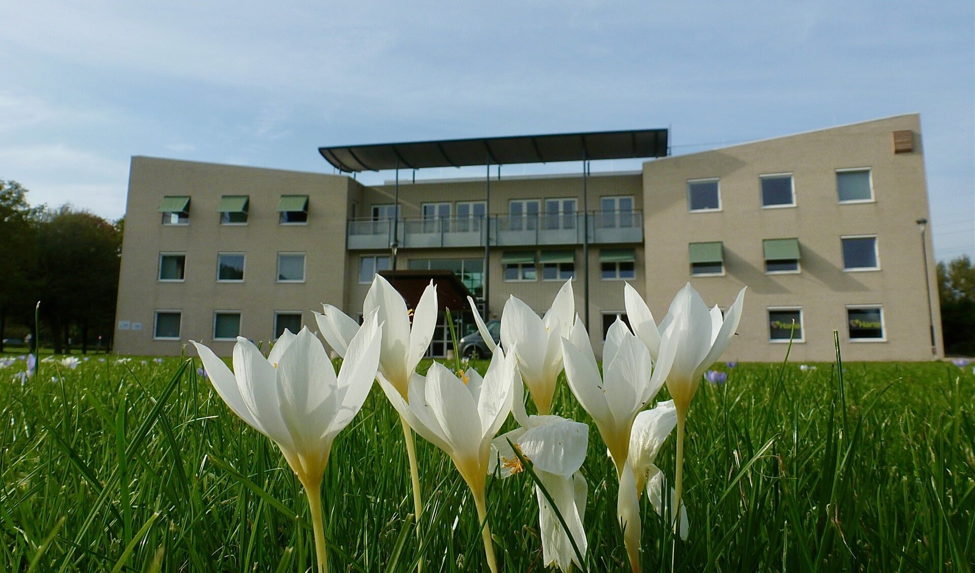 Voorjaar in de herfst bij gemeentehuis Odijk - Bunniks Nieuws | Nieuws ...
