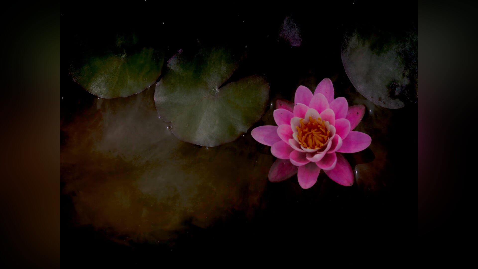 Foto expositie ‘The Echo of Light’: Een visuele reis van donker naar licht