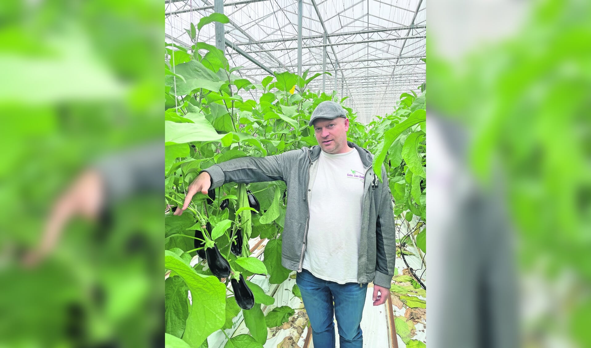 Zes deelnemers Kom in de Kas