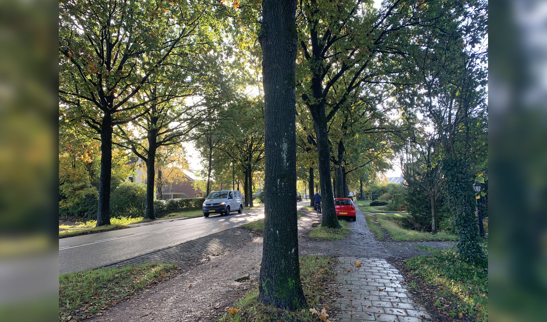 Buurt fel tegen herinrichtingsplan Stadhouderslaan | Nieuws uit de regio Soest