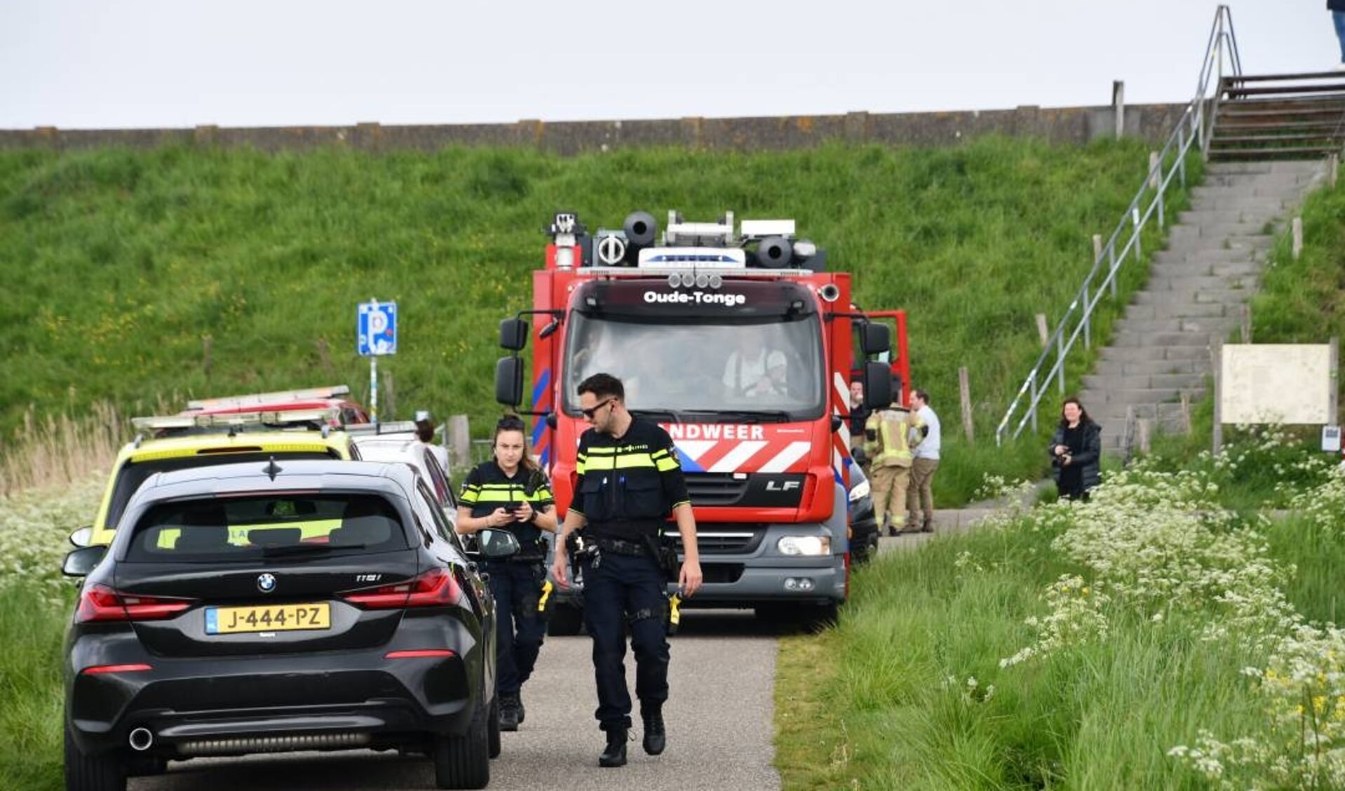 Duiker overleden bij Zuid Langeweg Dreischor