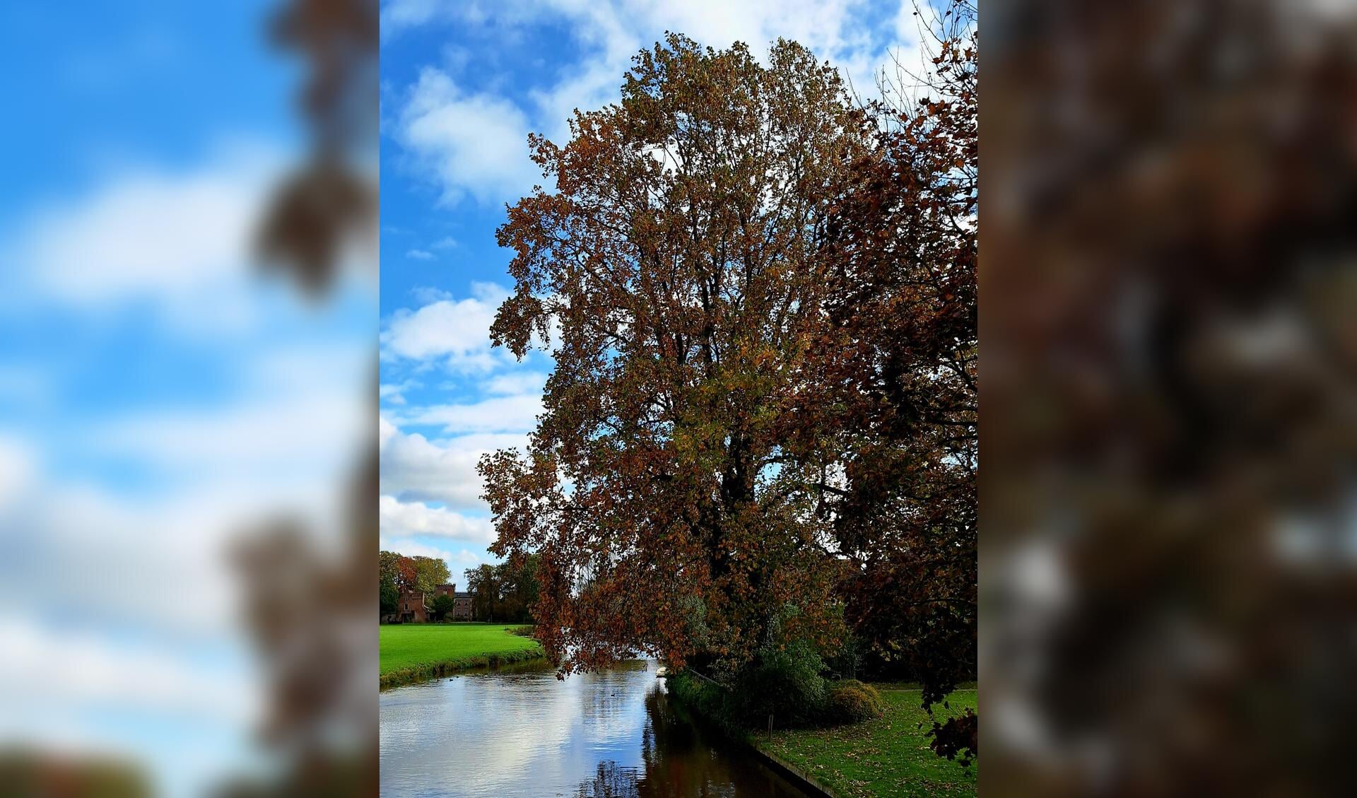 Herfst langs de Kromme Rijn in Cothen - Wijks Nieuws | Nieuws uit de ...