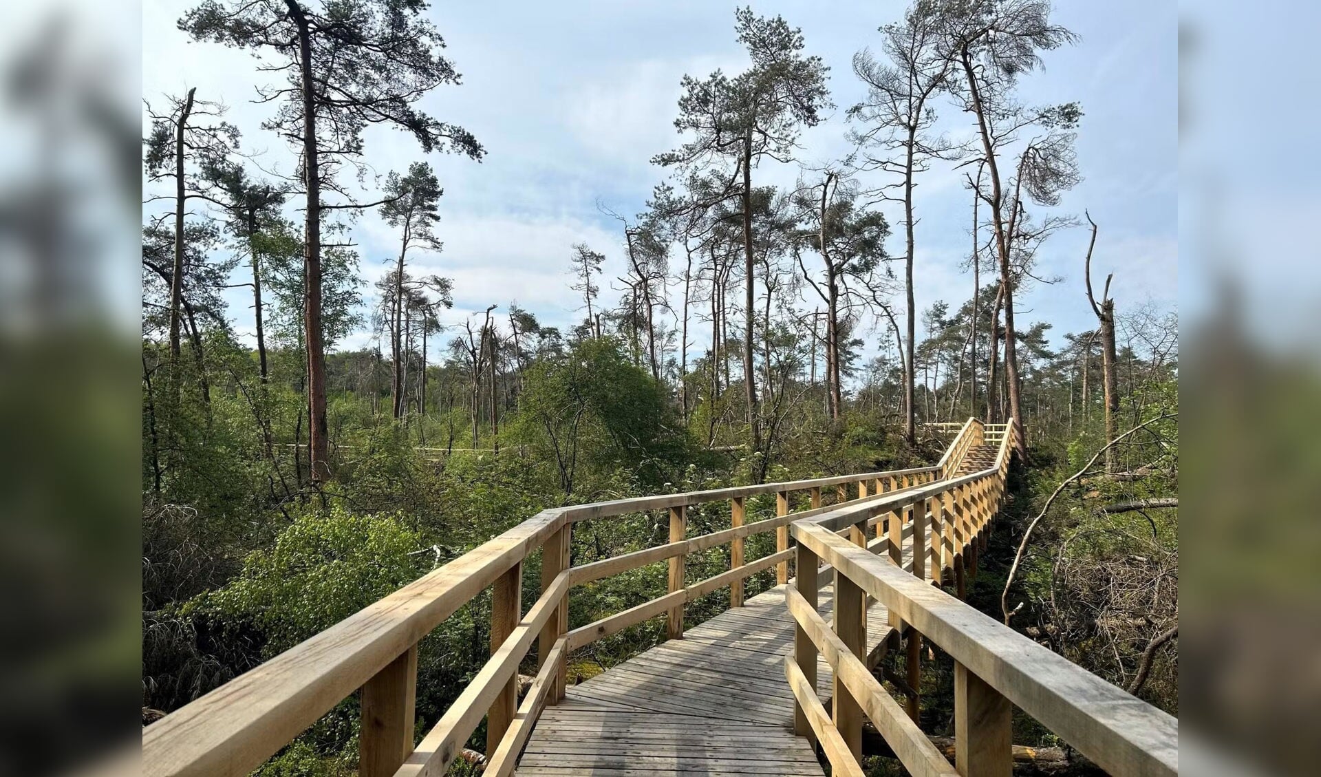 Wandeling Breeveen en Stormpad Leersum