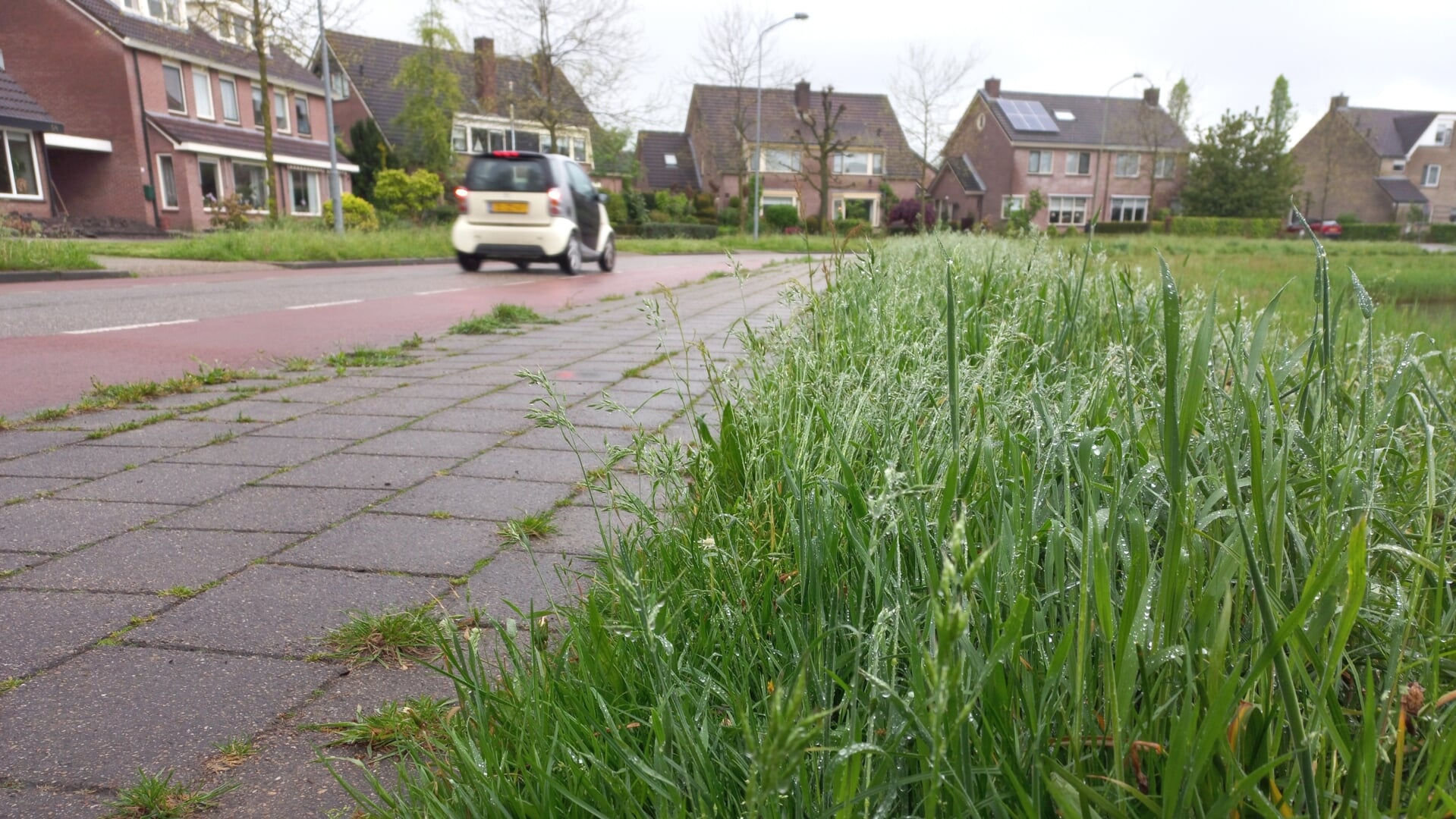 Ondanks Klachten Gaat Barneveldse Maaiklus Toch Weer Naar Growepa ...