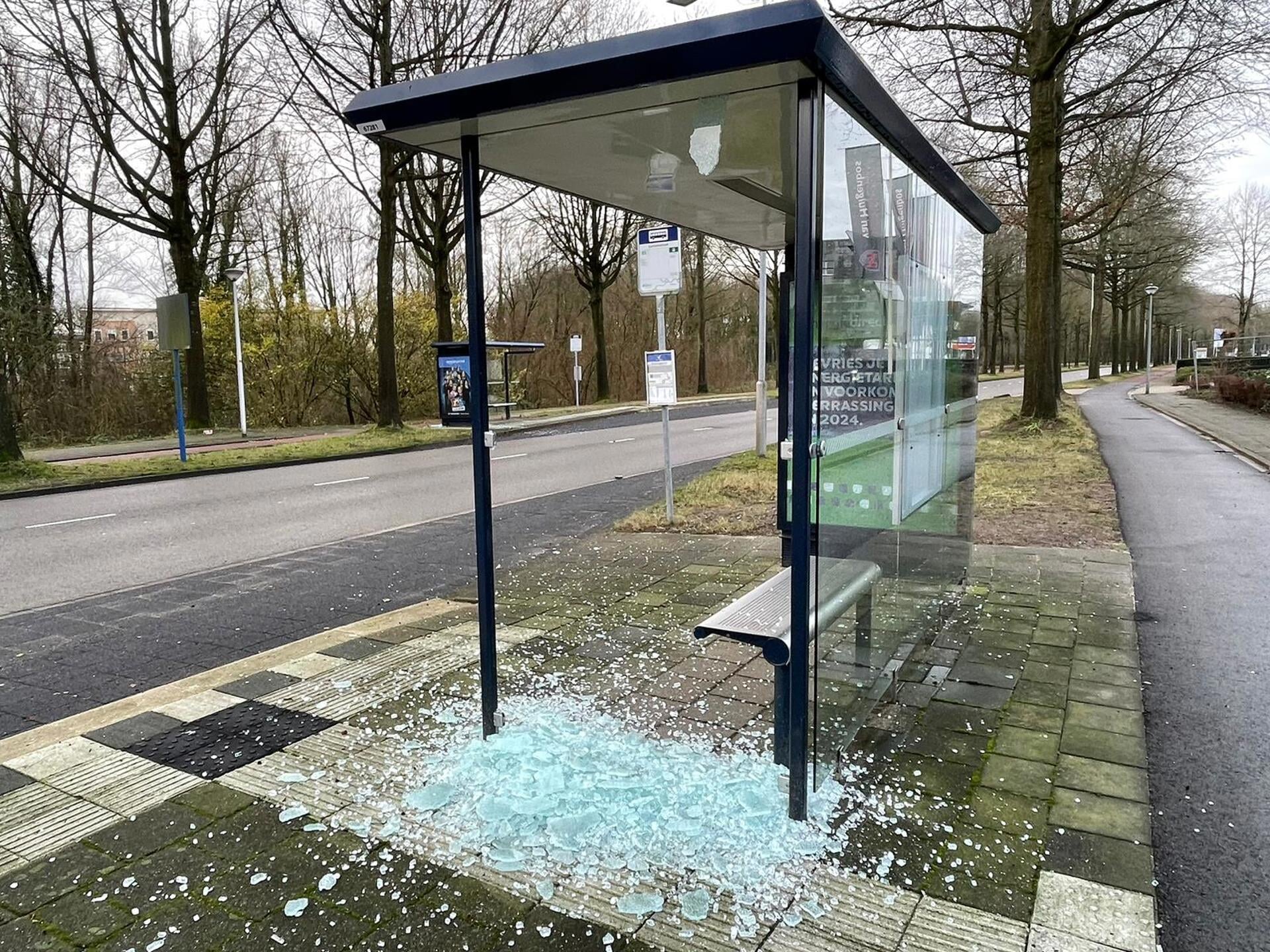 bushokjes-vernield-aan-de-galvanistraat-in-ede-edestad-nl-nieuws-uit