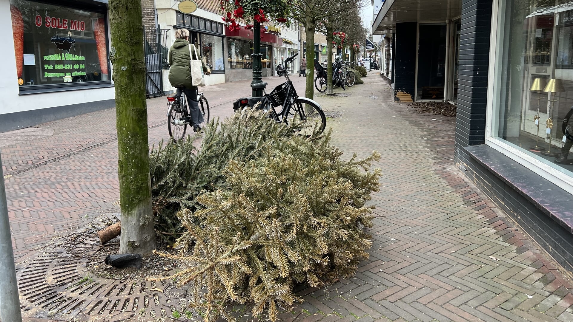 ‘bewaar De Kerstboom Even In De Tuin Baarnschecourant Nl Nieuws