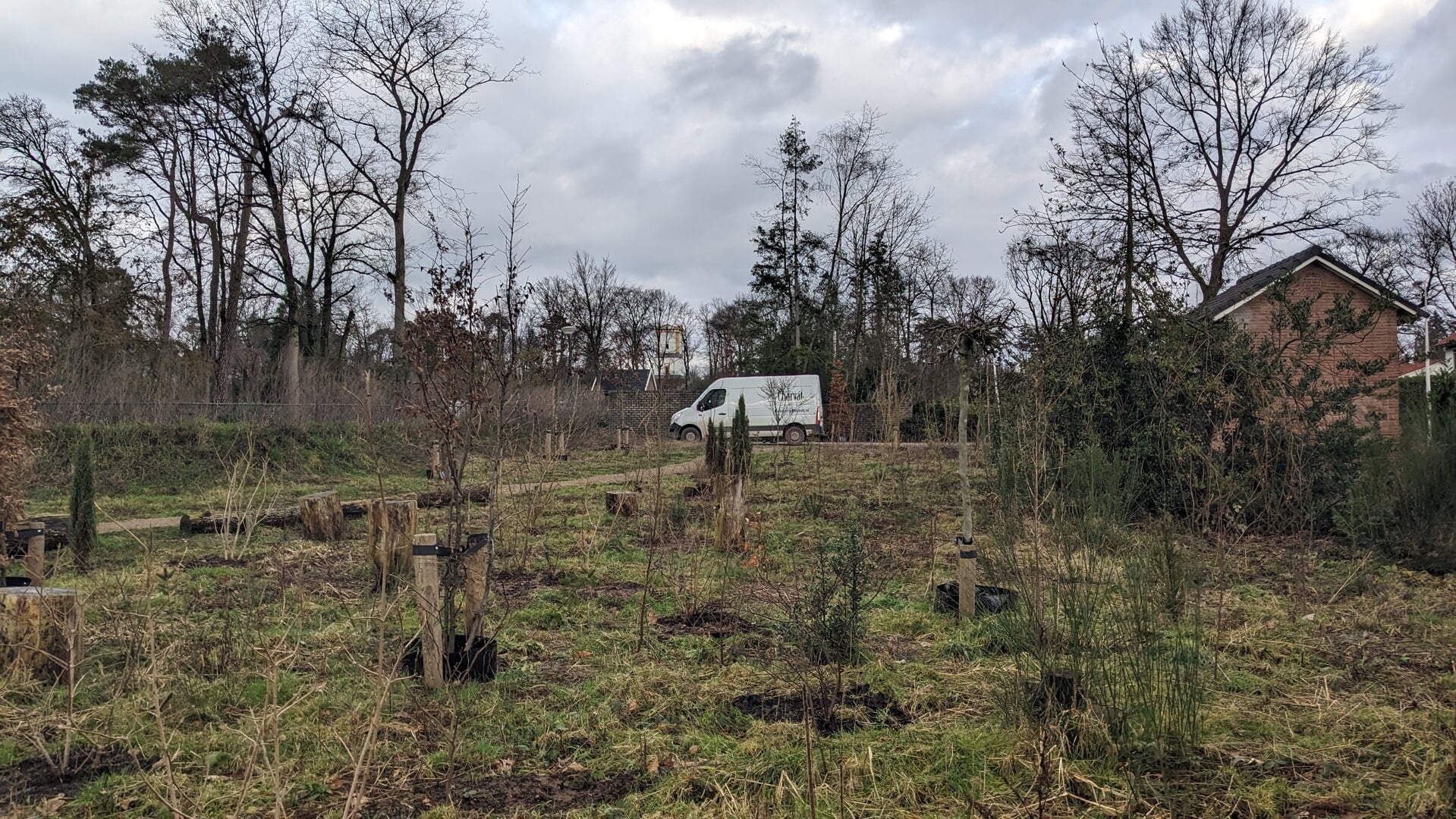 Tientallen bomen herplant in Allemansbosje Leersum: ‘Zo wordt het met recht weer een stukje bos’