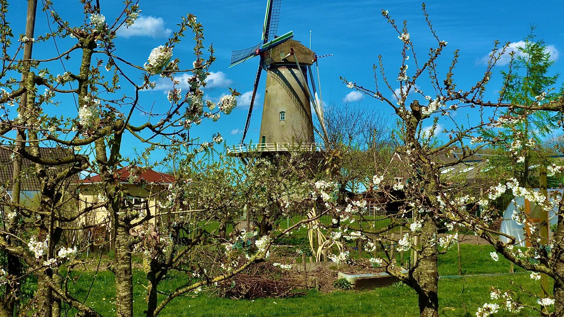 Het voorjaar is losgebarsten in Werkhoven - Bunniks Nieuws | Nieuws uit ...