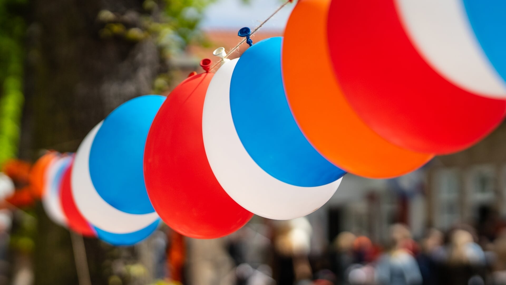 Oranjevereniging Harderwijk heeft feestelijk programma samengesteld voor Koningsdag 2024
