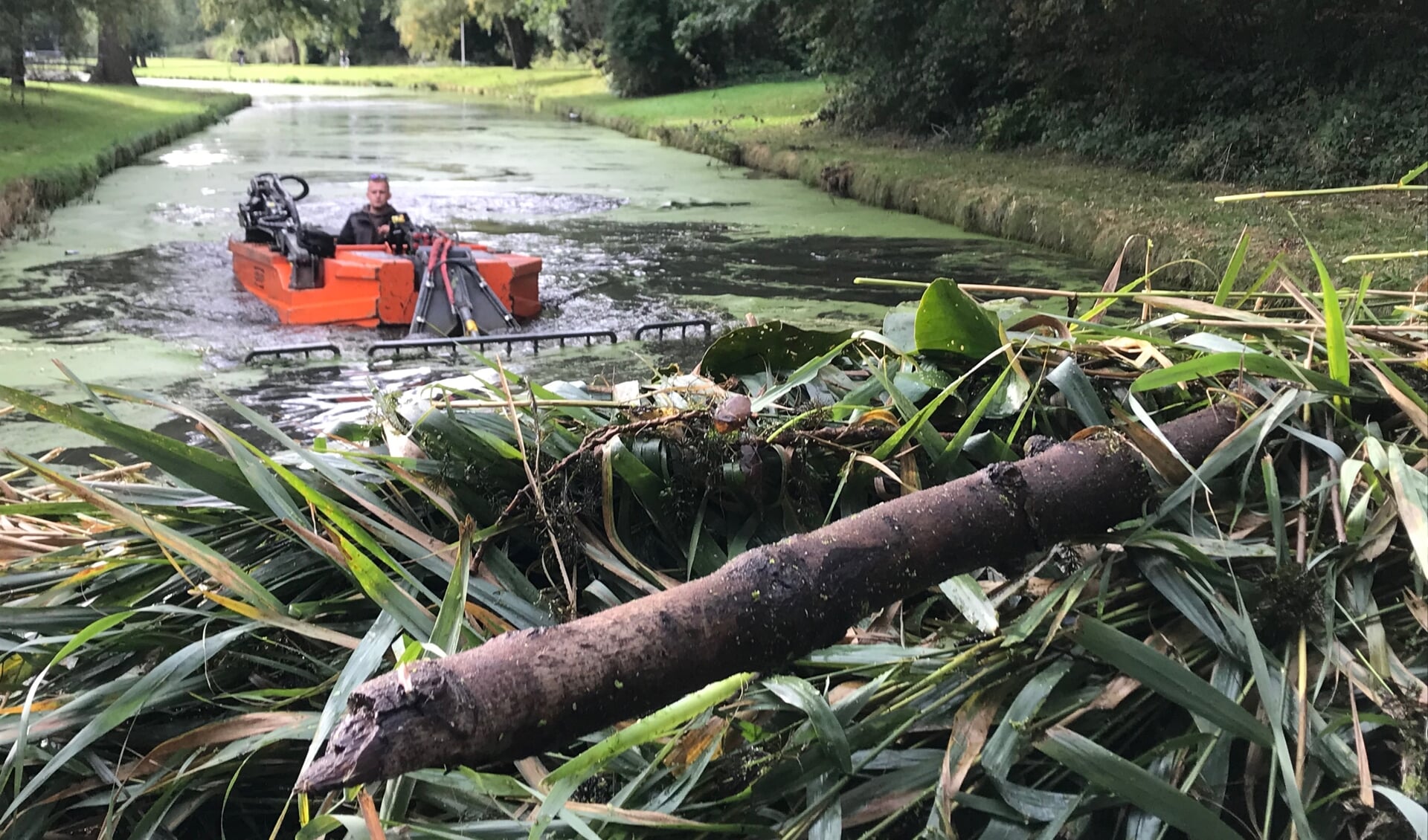 Speedboot in de gracht? - Adverteren Hellevoetsluis | Groot Hellevoet ...