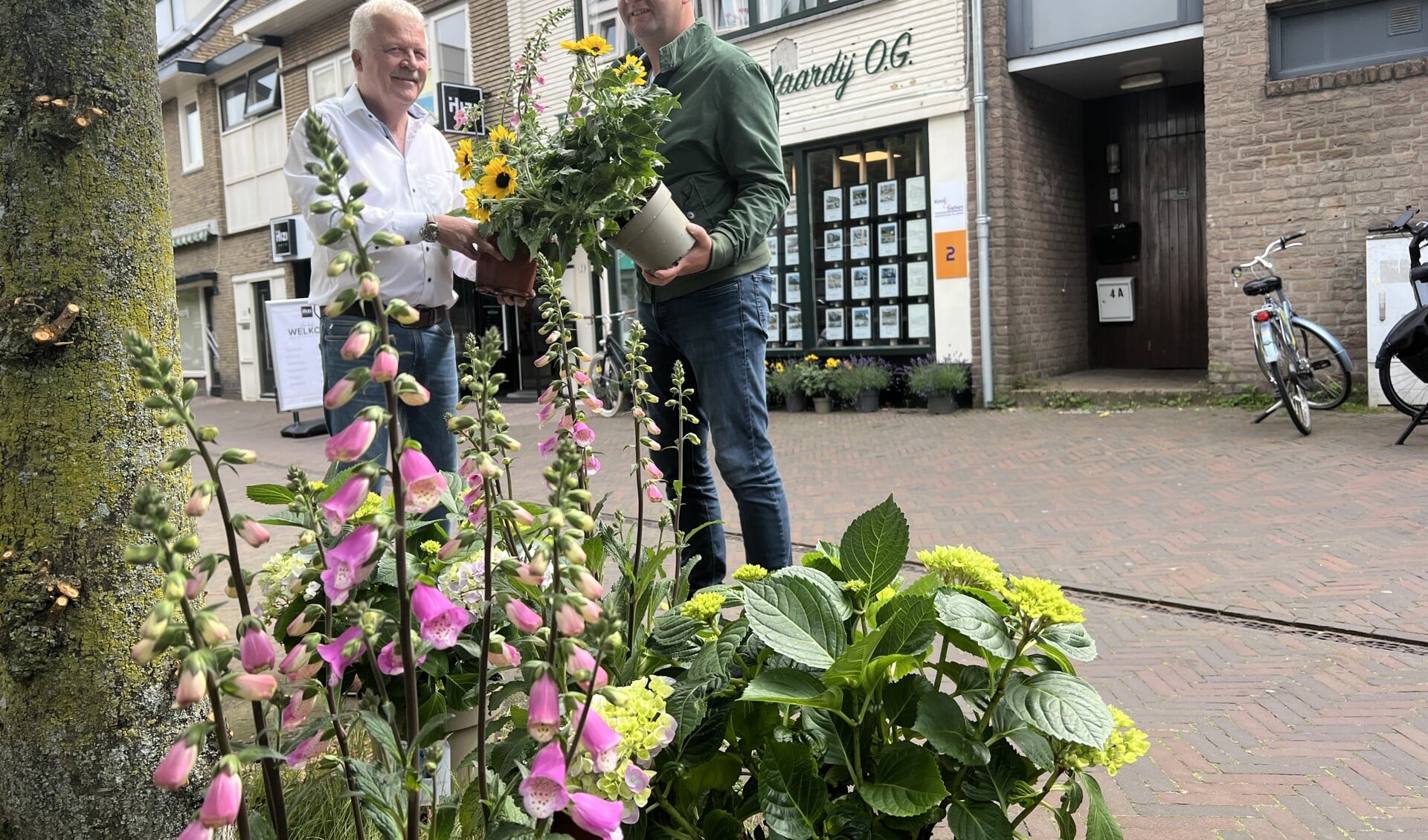 Goed Voorbeeld, Doet Goed Volgen Voor Een Groenere Brinkstraat ...