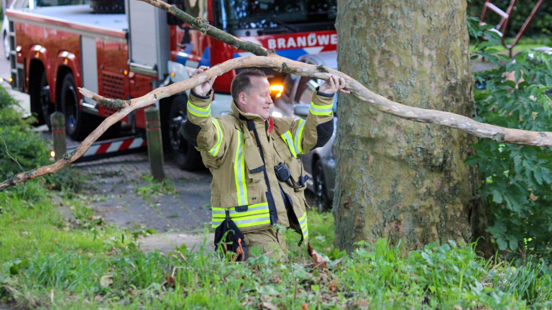 Brandweer Verwijdert Loshangende Tak In Gorinchem; Auto’s Beschadigd ...