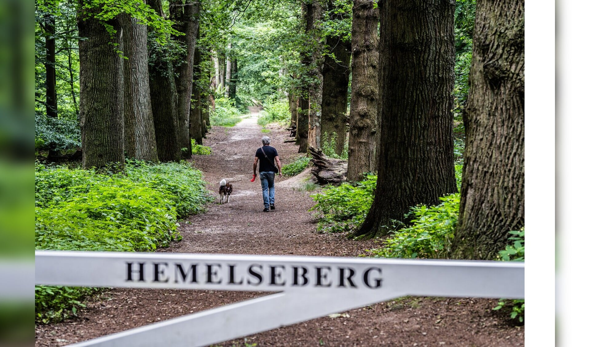 Cultuurhistorische wandeling, Hemelse Berg en Pietersberg - Het Kompas ...