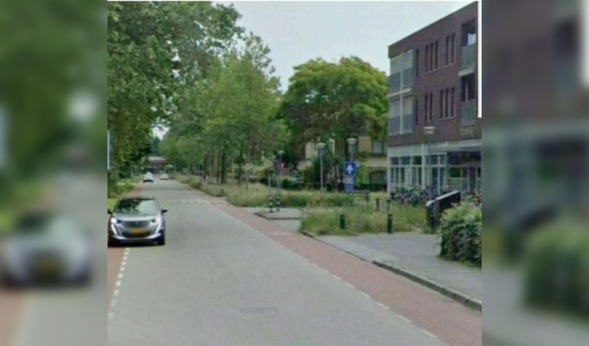 Vergroenen doe je samen: de burger én de gemeente - Al het nieuws uit Harderwijk