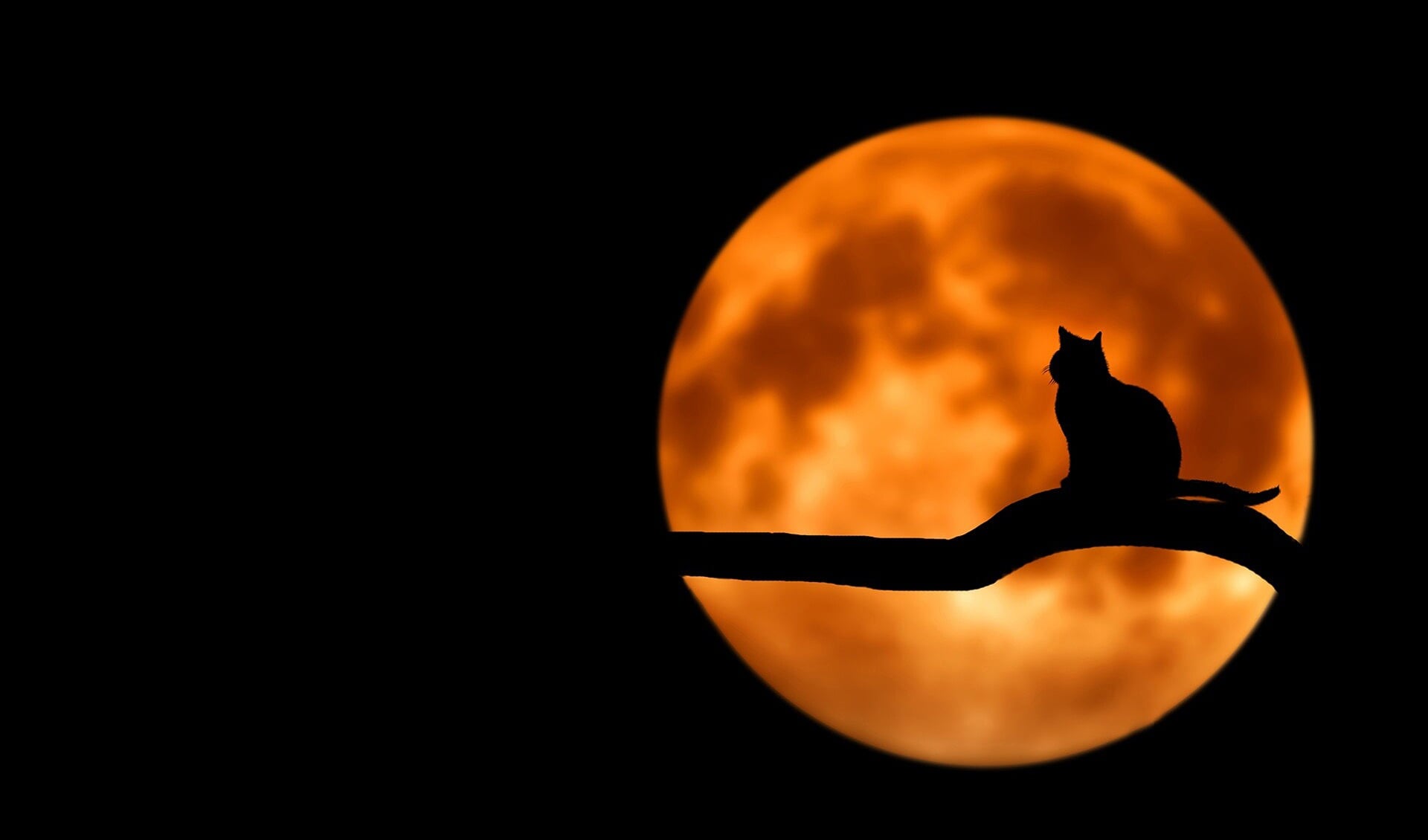 Halloween in Graauw, wie durft er mee?