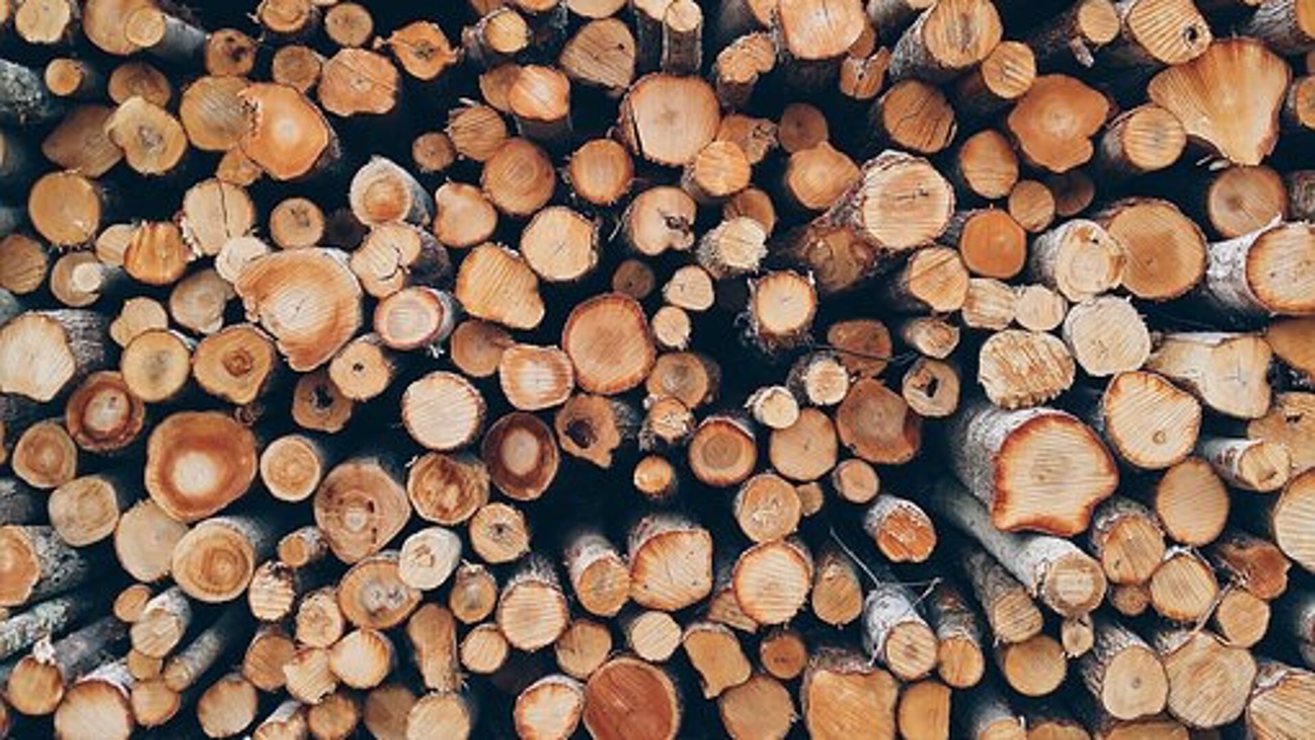 Bos-bij-Veenhuizerveld-onder-handen-genomen-tot-maart--zwakke-bomen-weggehaald-en-gezonde-bomen-meer-ruimte