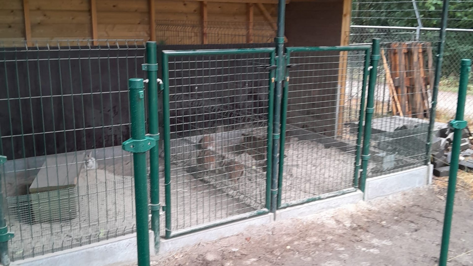 Nieuwe verblijven voor de konijnen van dierenpark Regter Eind