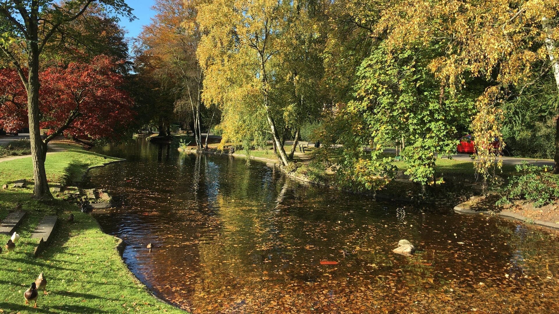 Wilhelminavijver in Hoog Baarn blijft lek; plan van aanpak voor zomer 2025