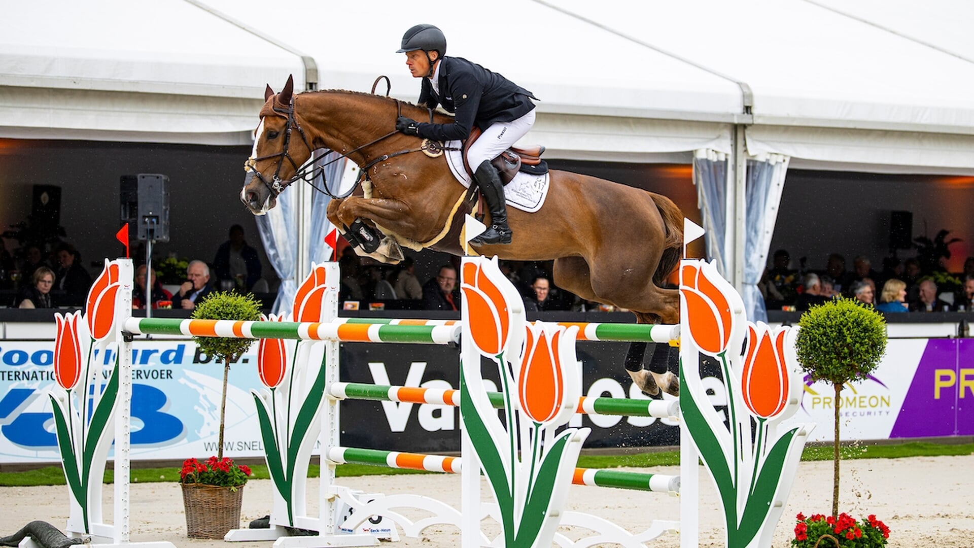 NK Springen | Willem Greve neemt leiding over van Harrie Smolders - Het ...