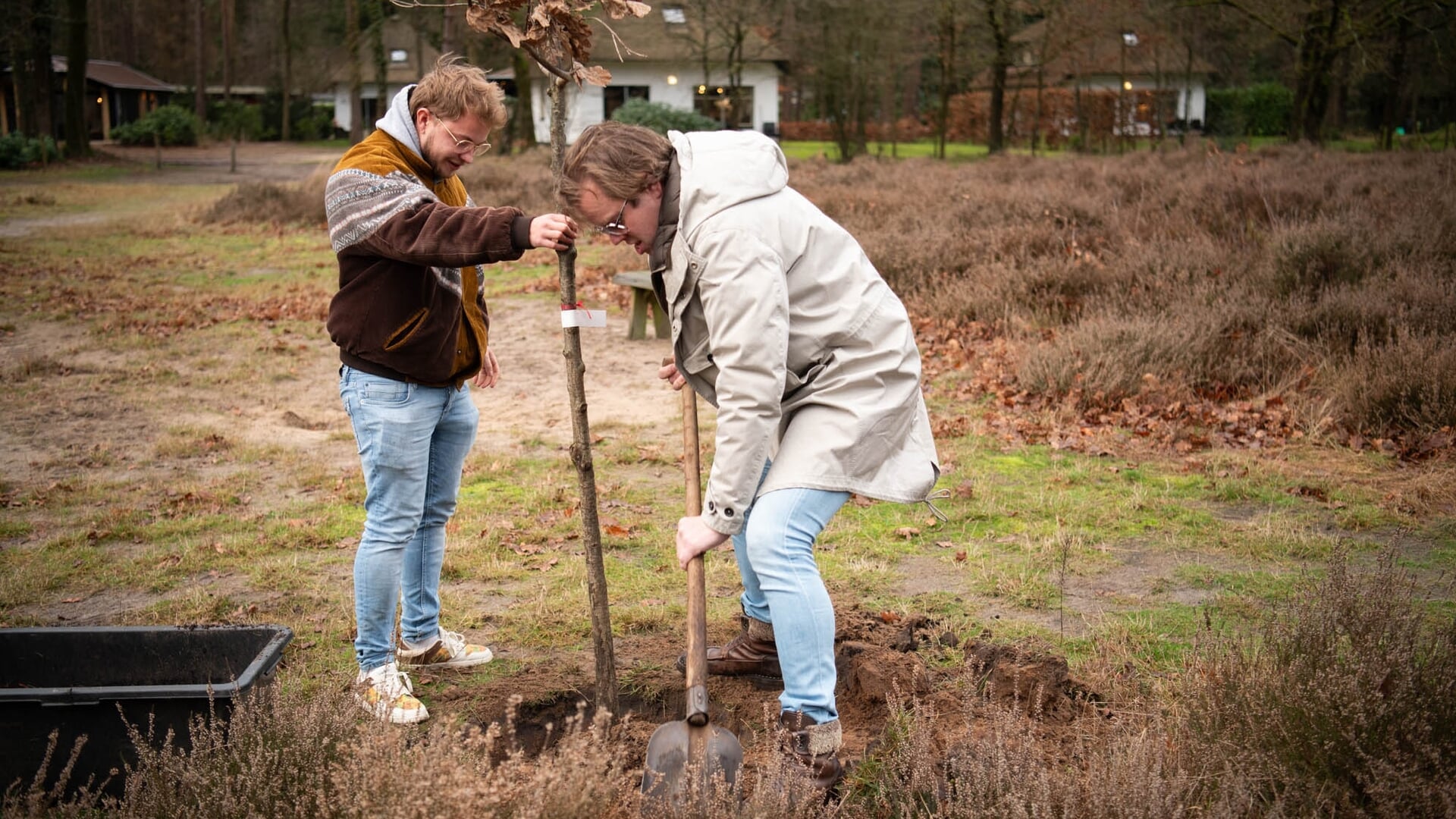 Startmoment Veluwse Plantdagen: wethouder Peter de Pater plant een jonge eikenboom