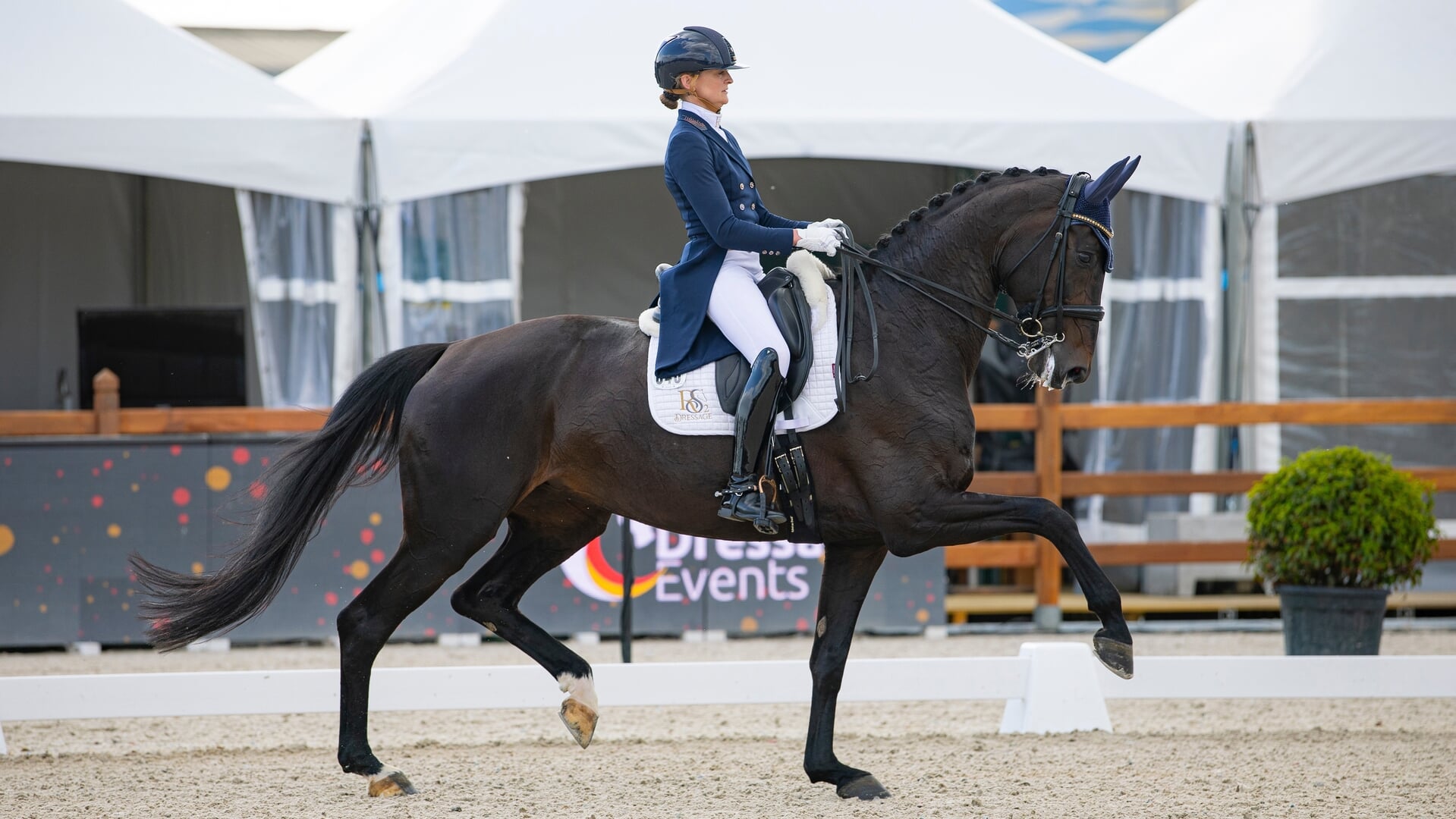 CDI Exloo | Marieke van der Putten en Zantana winnen observatie EK in Grand Prix