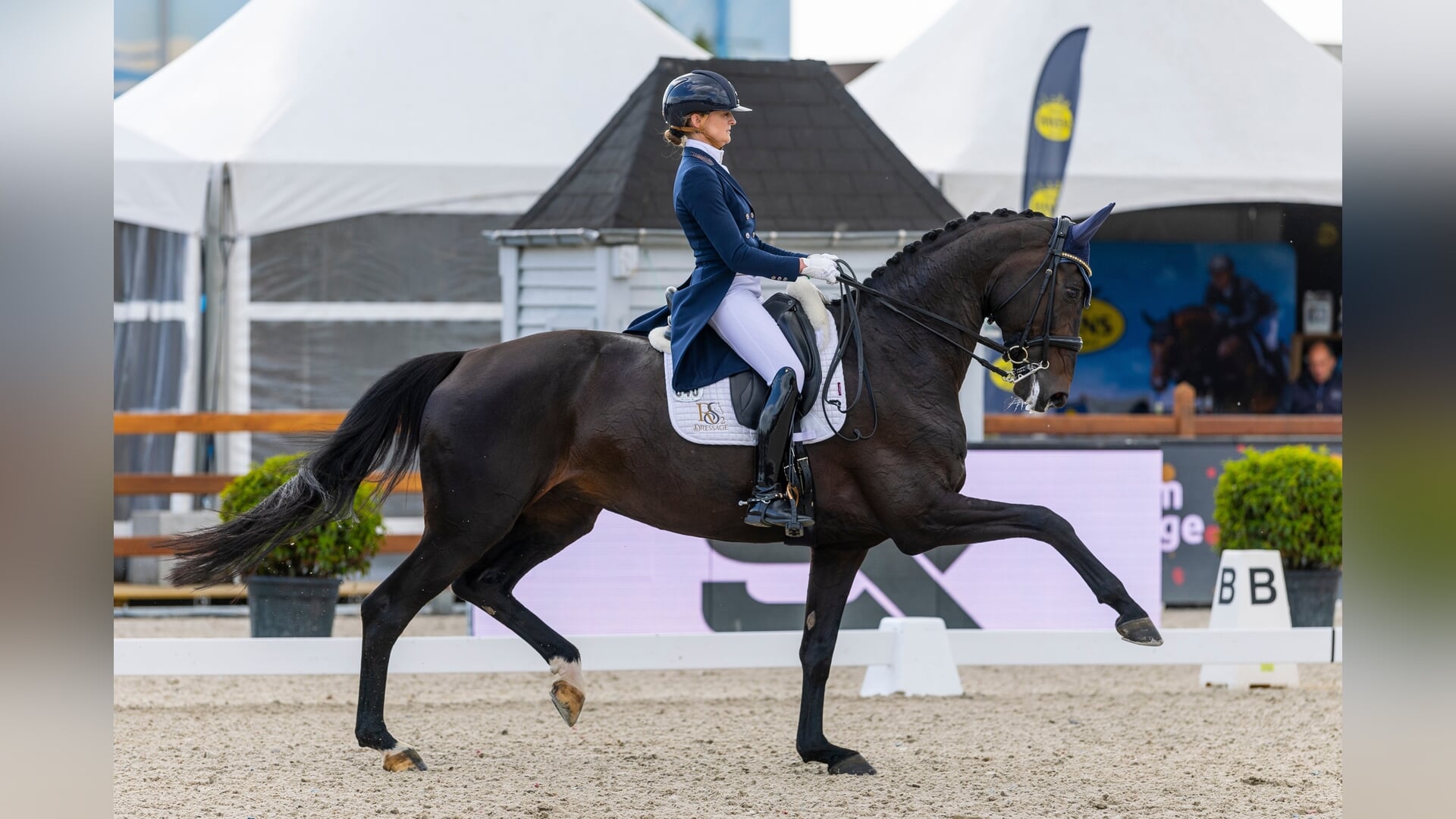 CDI Exloo Marieke van der Putten en Zantana RS2 winnen ook Grand Prix Special