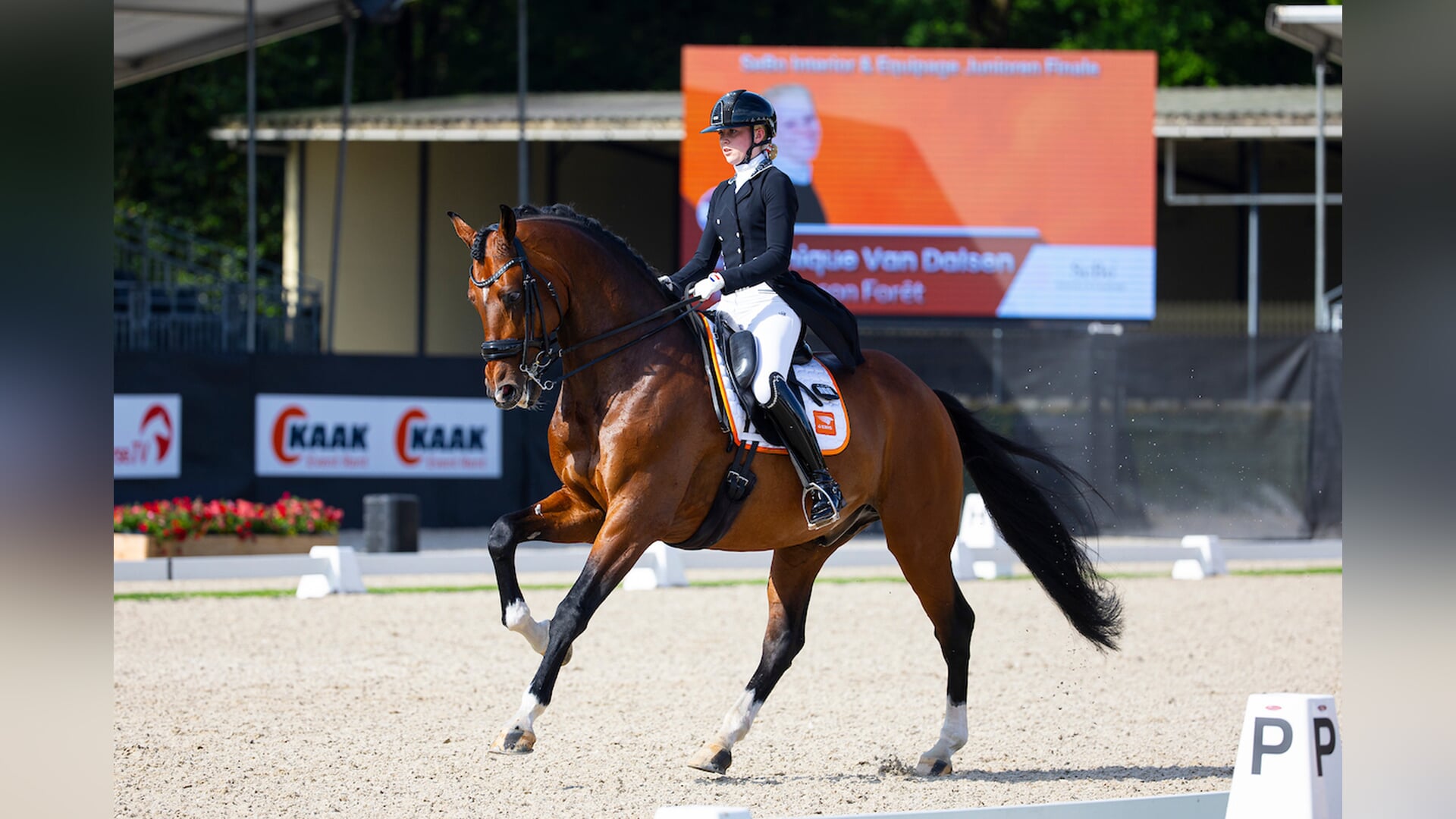 CDI Exloo | Dominique van Dalsen wint ook individuele proef bij de junioren met nieuw PR