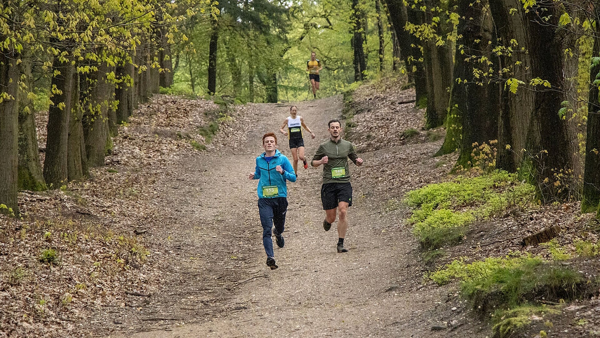 Extra trailrun bij jubileumeditie van Amerongse Koploop: ‘Voor lopers die graag de uitdaging aangaan