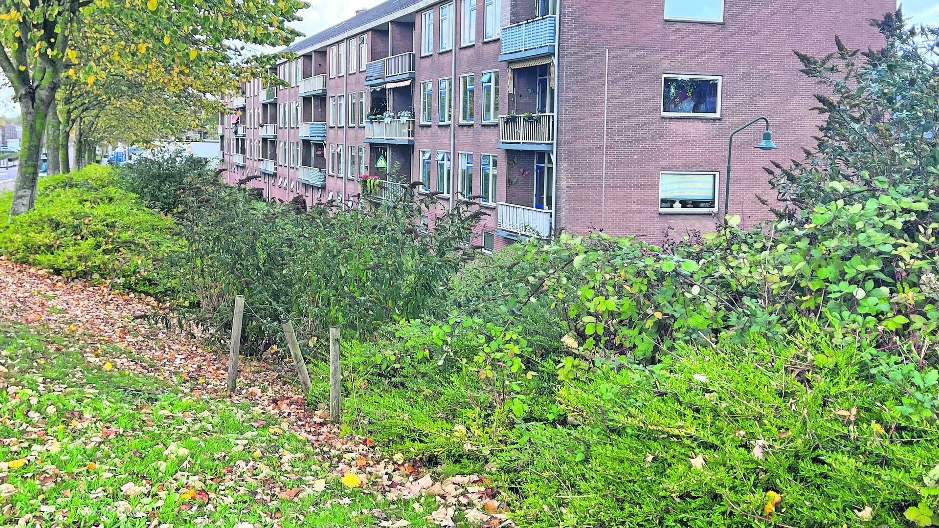 Zeeuwland wil sneller en meer huurwoningen bouwen