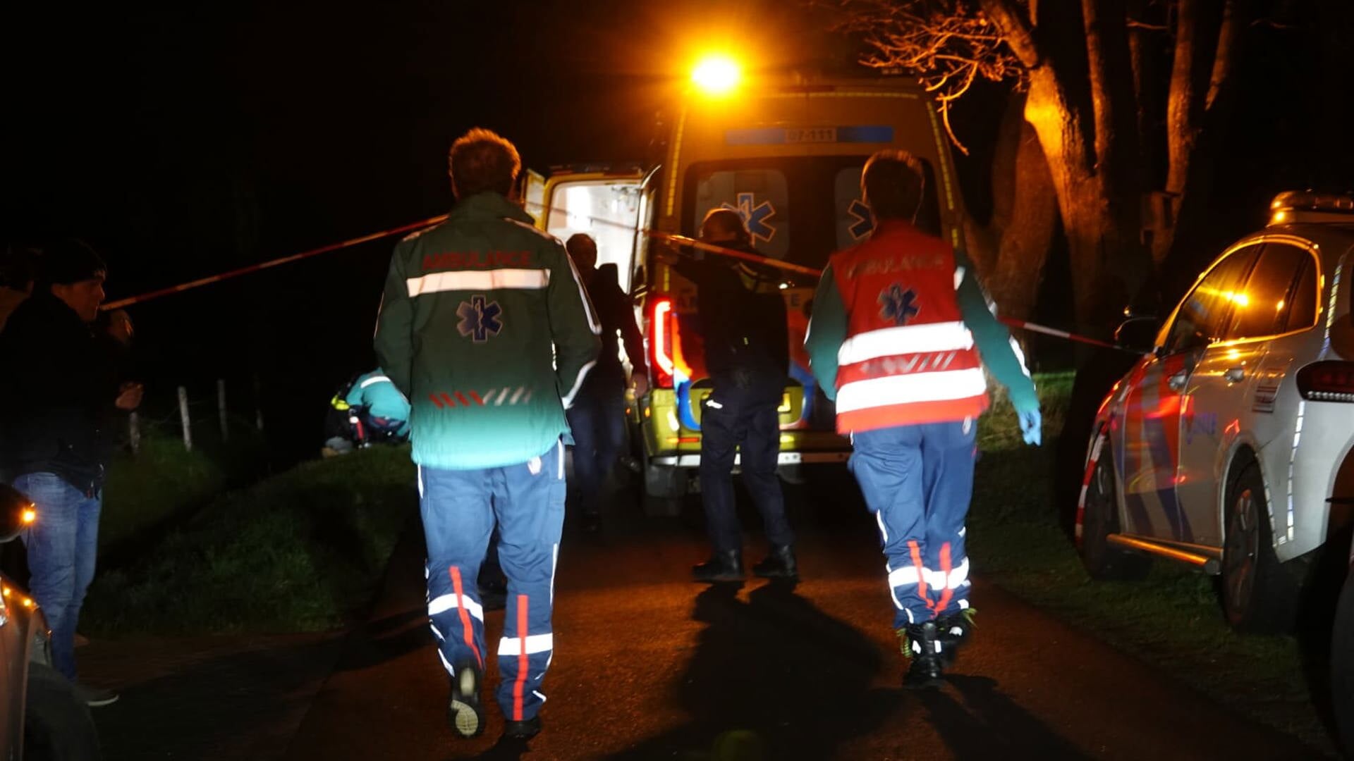 Werkstraf en rijverbod na tragisch ongeval met Scherpenzeler