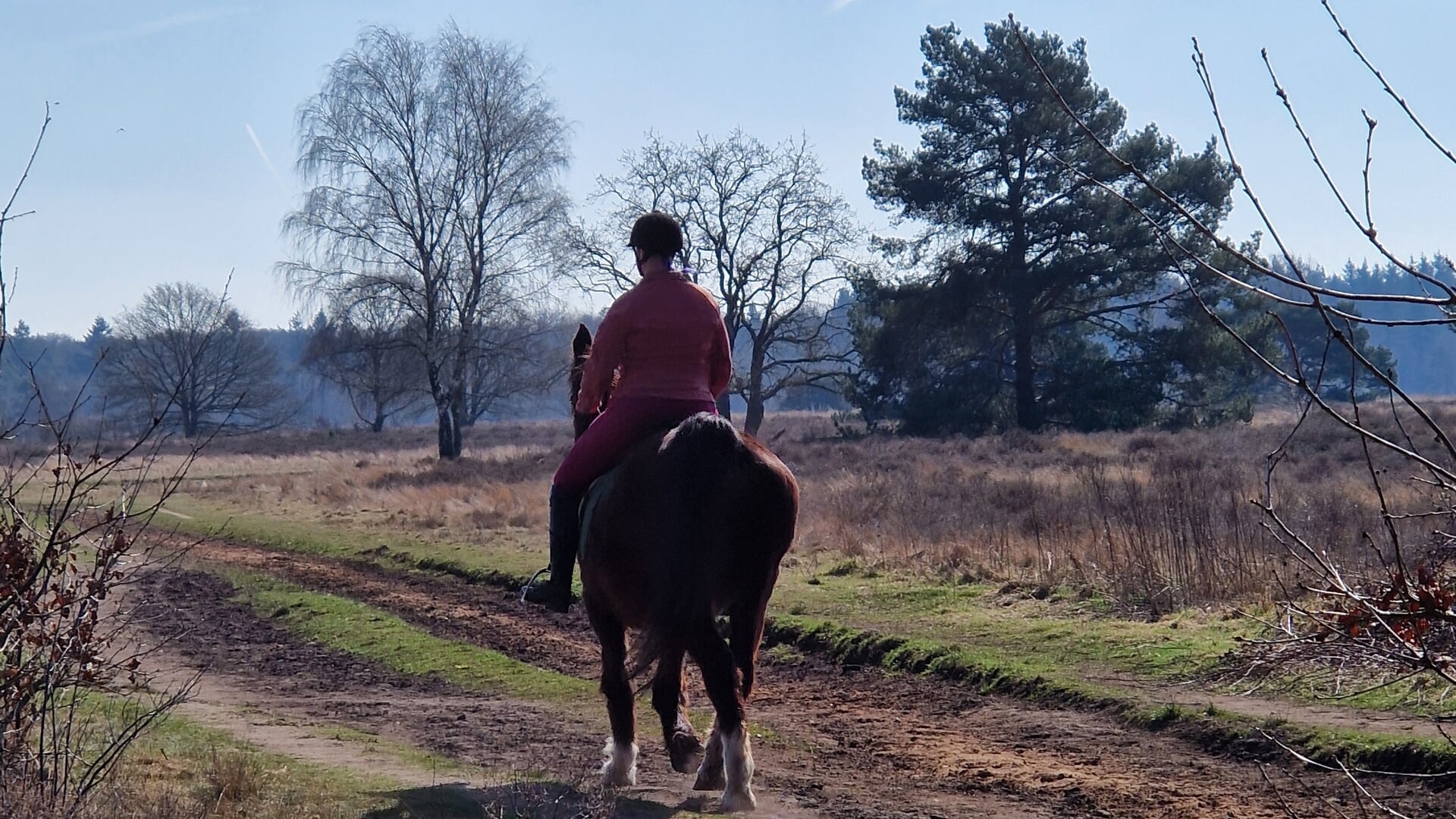 Lezersfoto: ‘In het zonnetje een rit te paard’ - Al het nieuws uit Ermelo