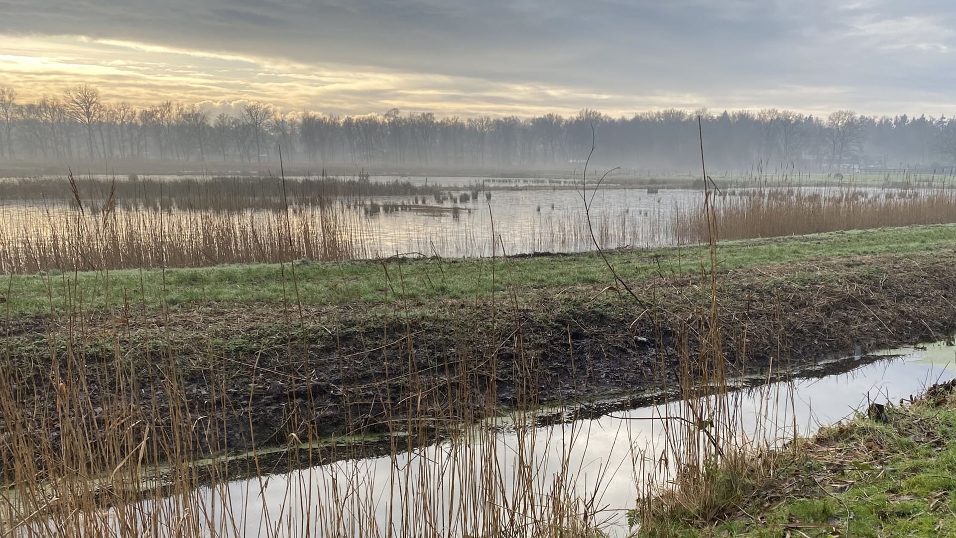 Zondagmorgen 13 april wandeling met de Beweegmakelaars en interessante uitleg over de historie van d
