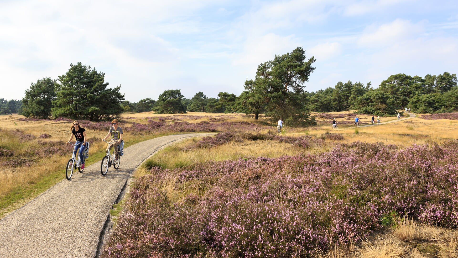 Hoge Veluwe moet met ‘stevige onderbouwing’ komen voor Resort