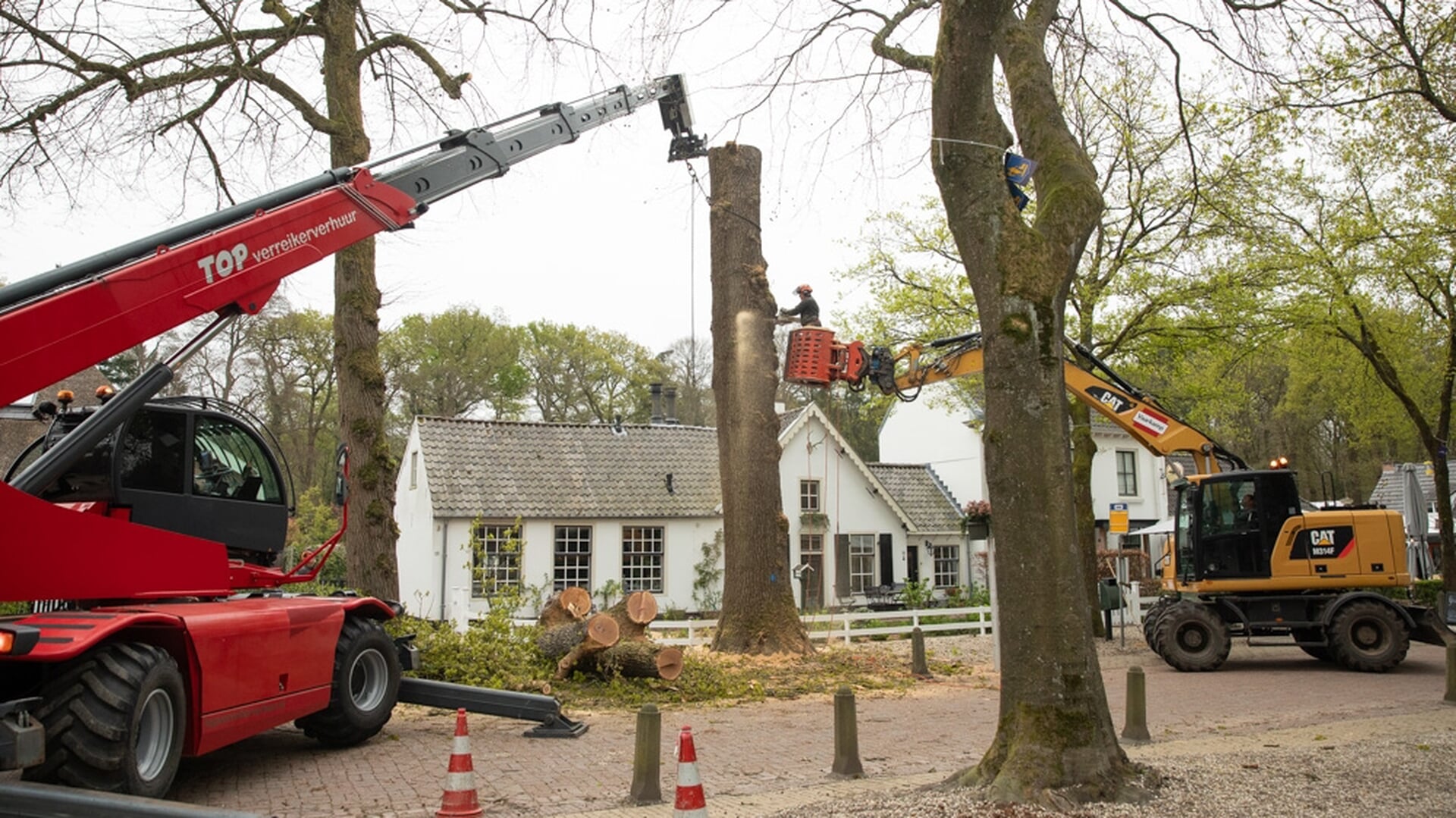 Lage Vuursche treurt om kap tweehonderd jaar oude eik