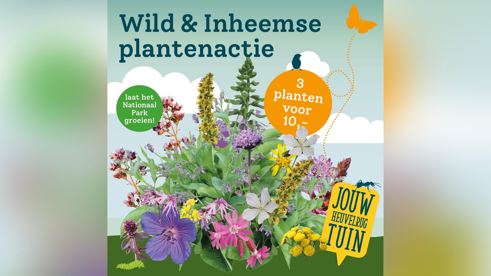 Scoor op zaterdag 10 en zondag 11 mei drie wilde & inheemse planten ...
