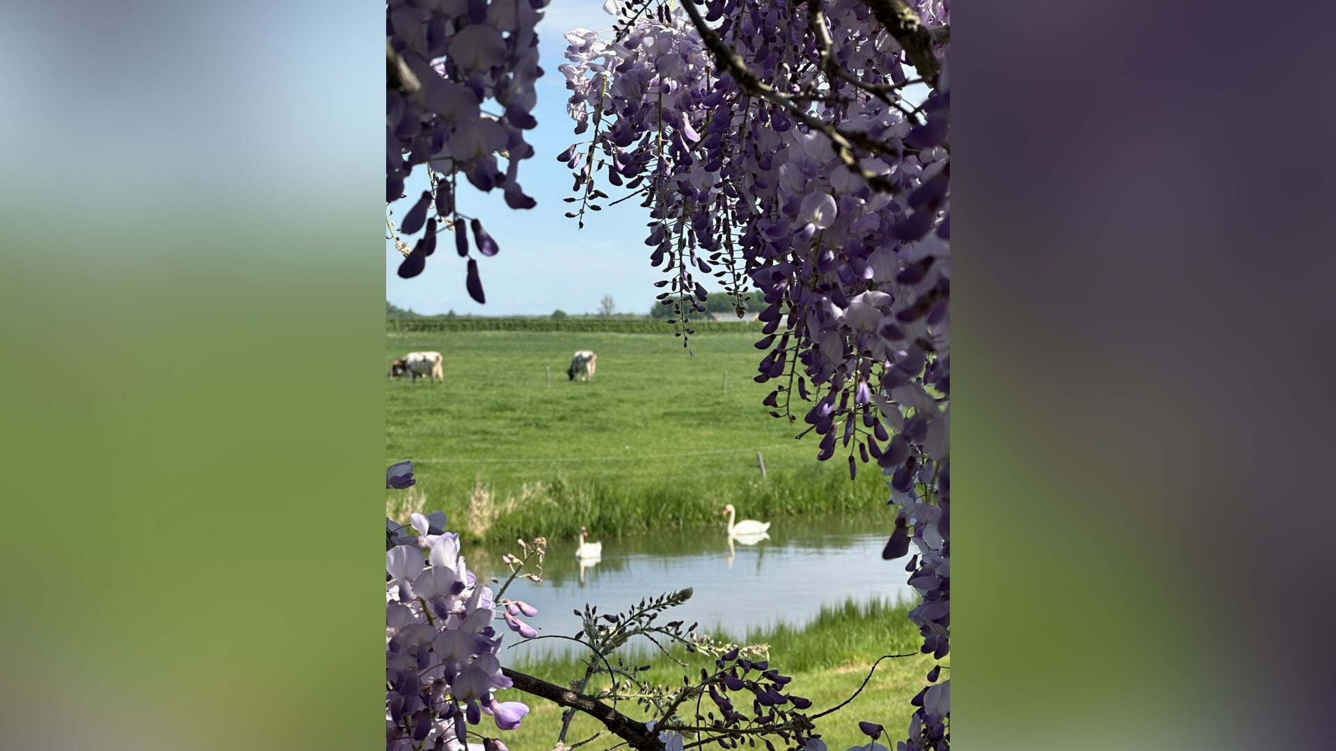 De Achter Rijn in Werkhoven