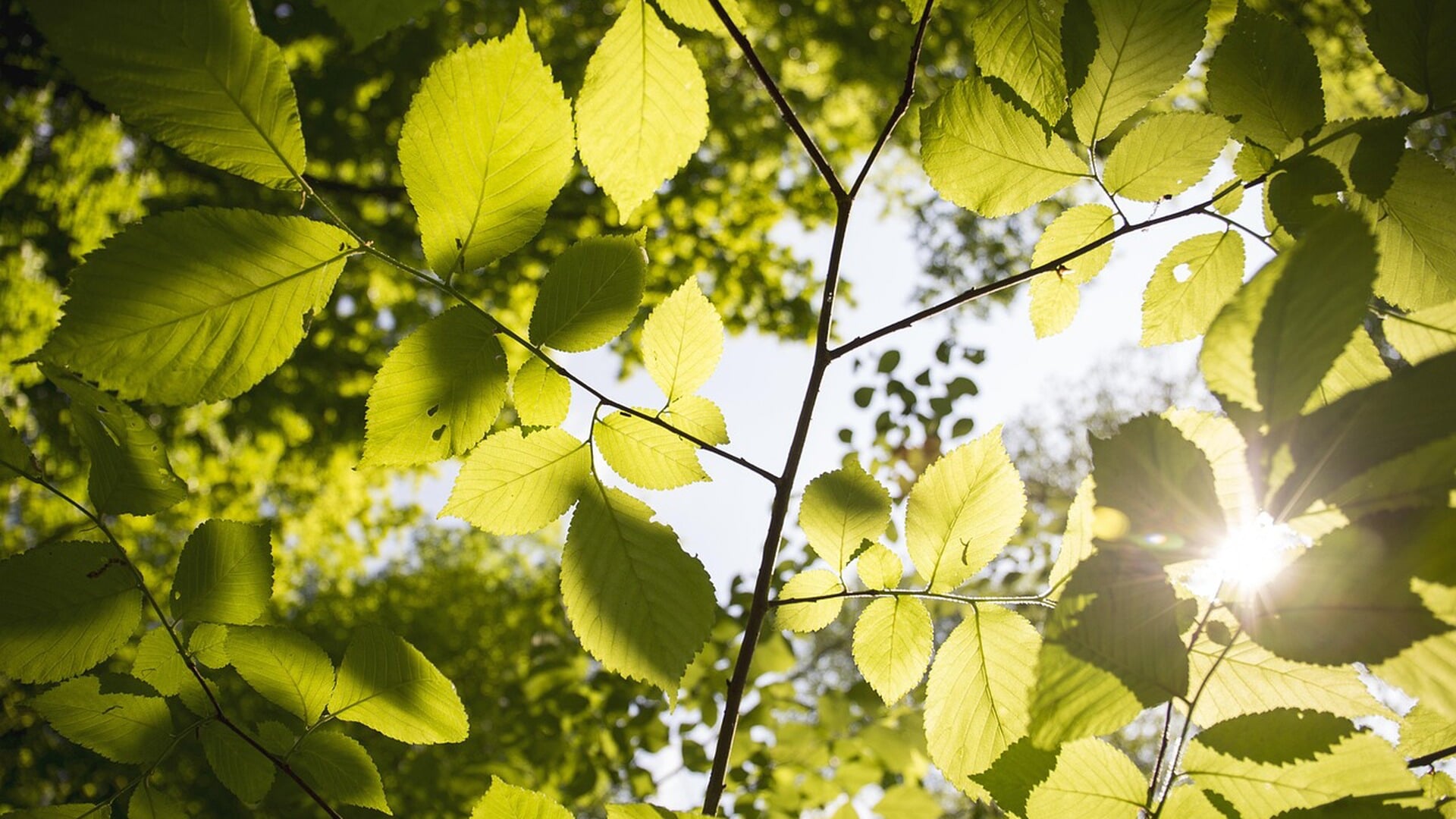 Weekverwachting: eerst zomers warm, later iets frisser