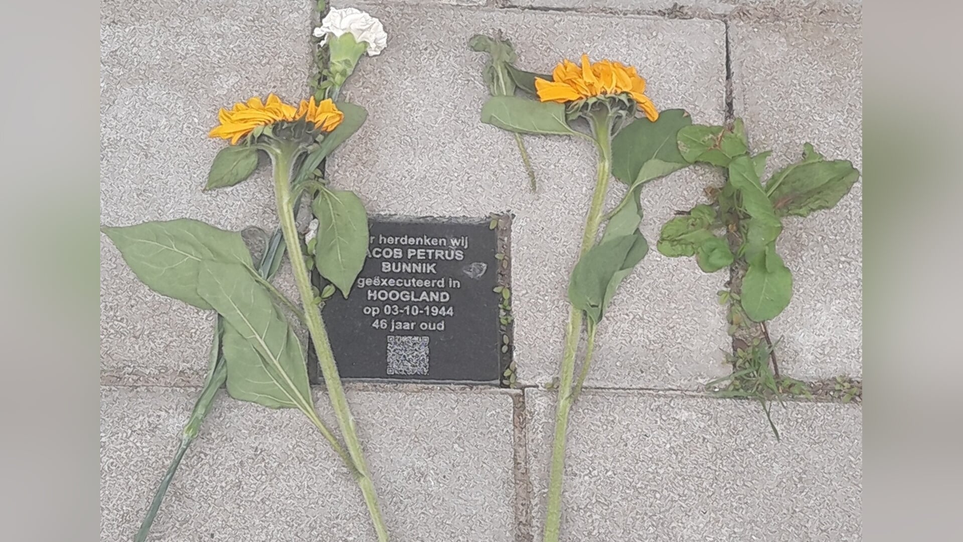 Herdenkingsstenen zijn weer leesbaar dankzij vervanging van versleten monumentjes