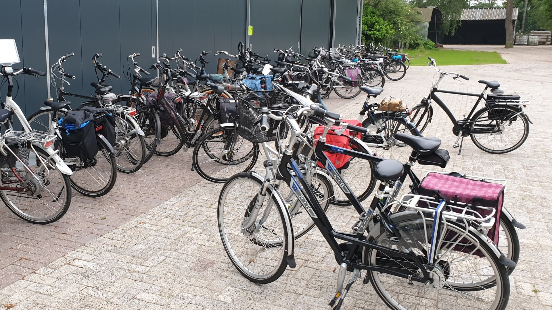 Dauwtrappen met Buurtvereniging Appel-Driedorp