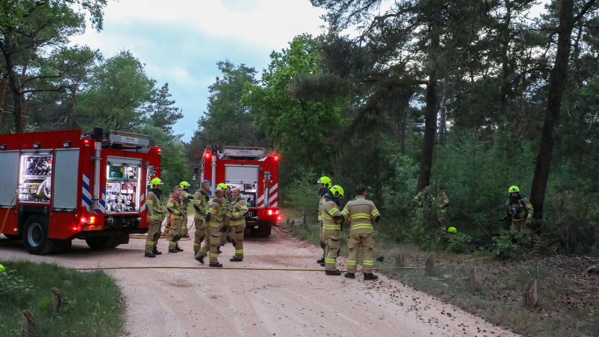 Brand in bos bij Wolweg Stroe, brandstichting niet uitgesloten