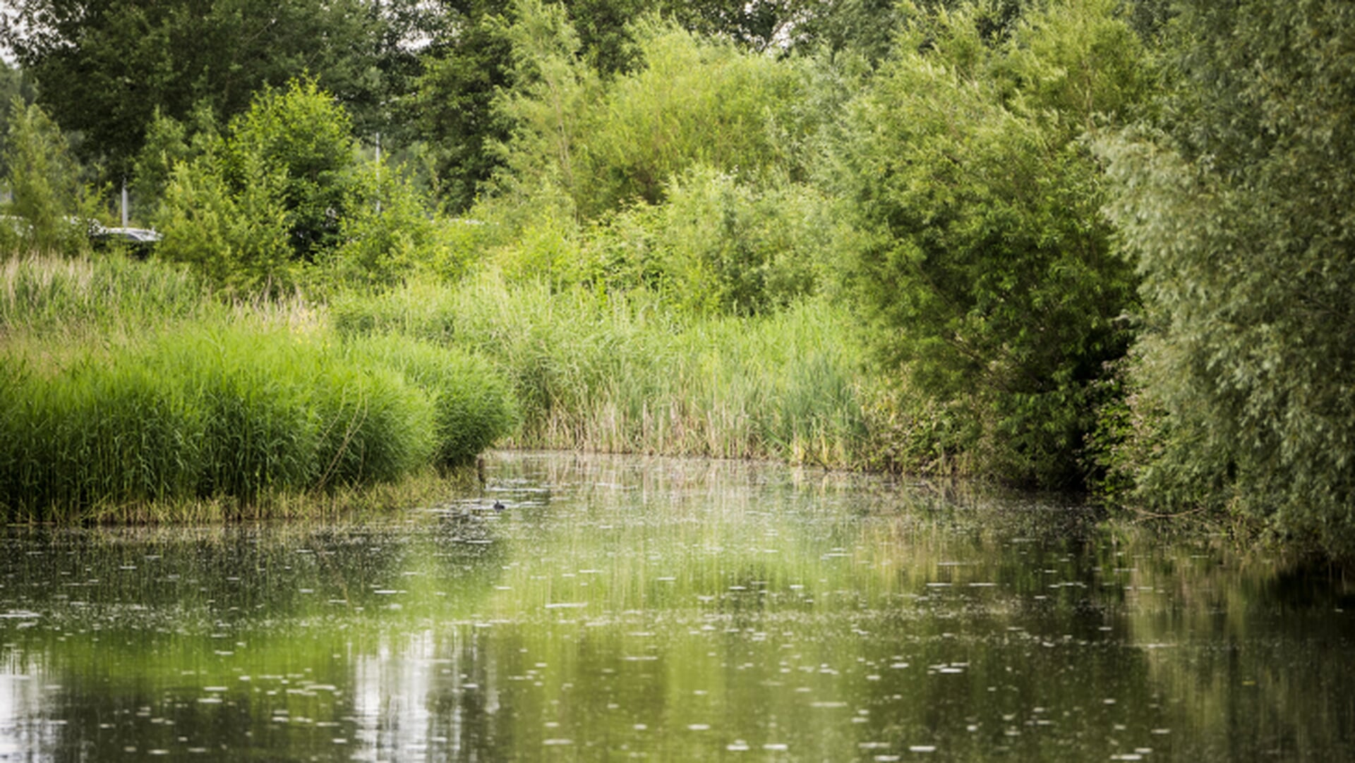Dertien maatregelen voor schoner water
