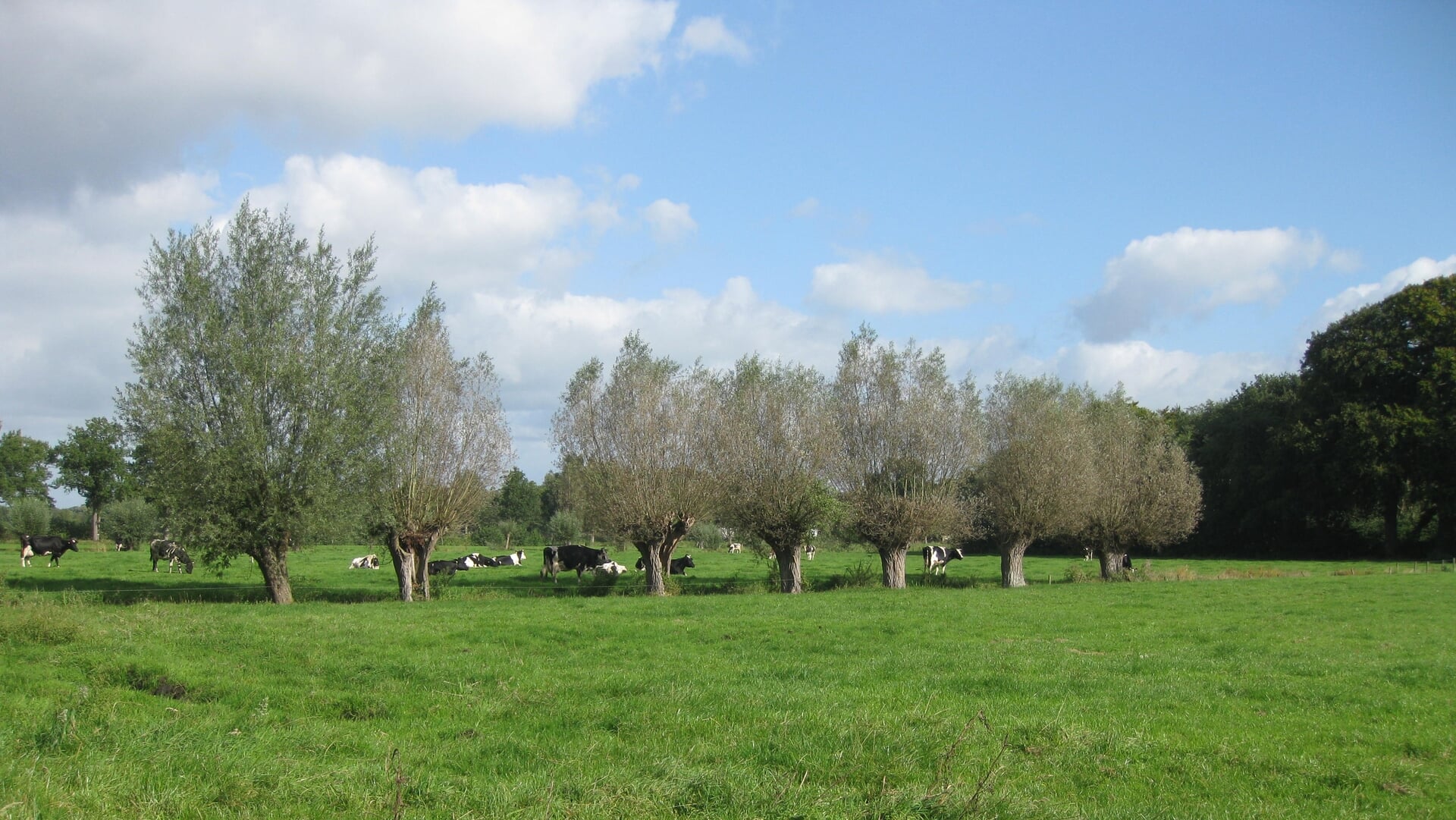 Project ‘Meet je Landschap’ heeft ruimte voor nieuwe vrijwilligers