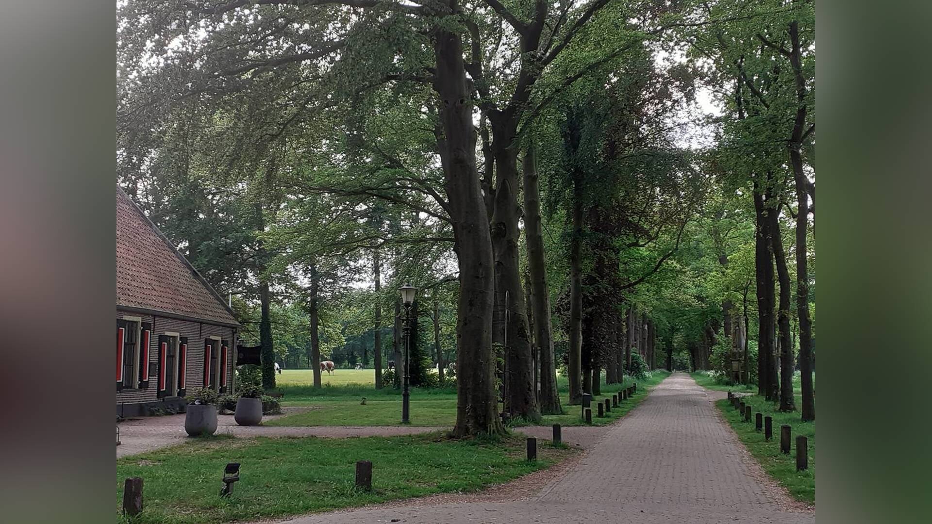 Ochtendwandeling met IVN Ede op landgoed Kernhem, zaterdag 24 mei.