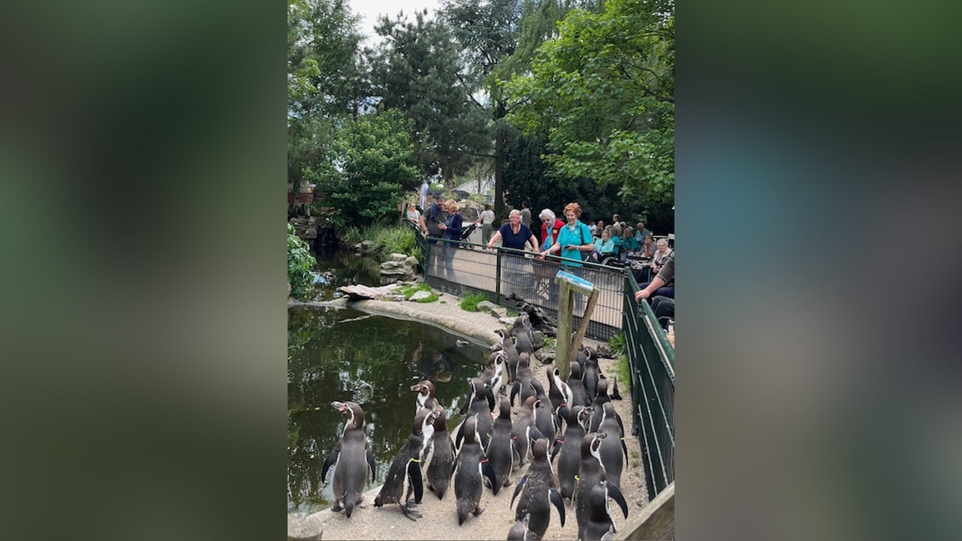 Zonnebloem Leersum bezoekt Avifauna